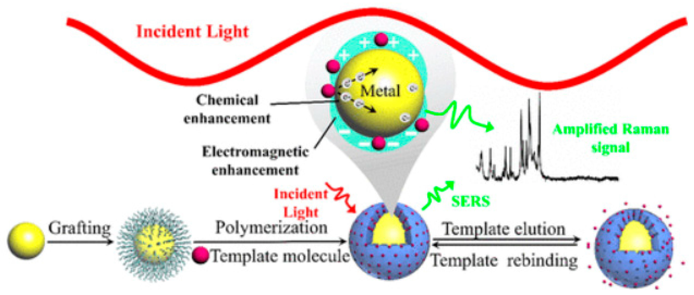 Chemosensors 11 00318 g005