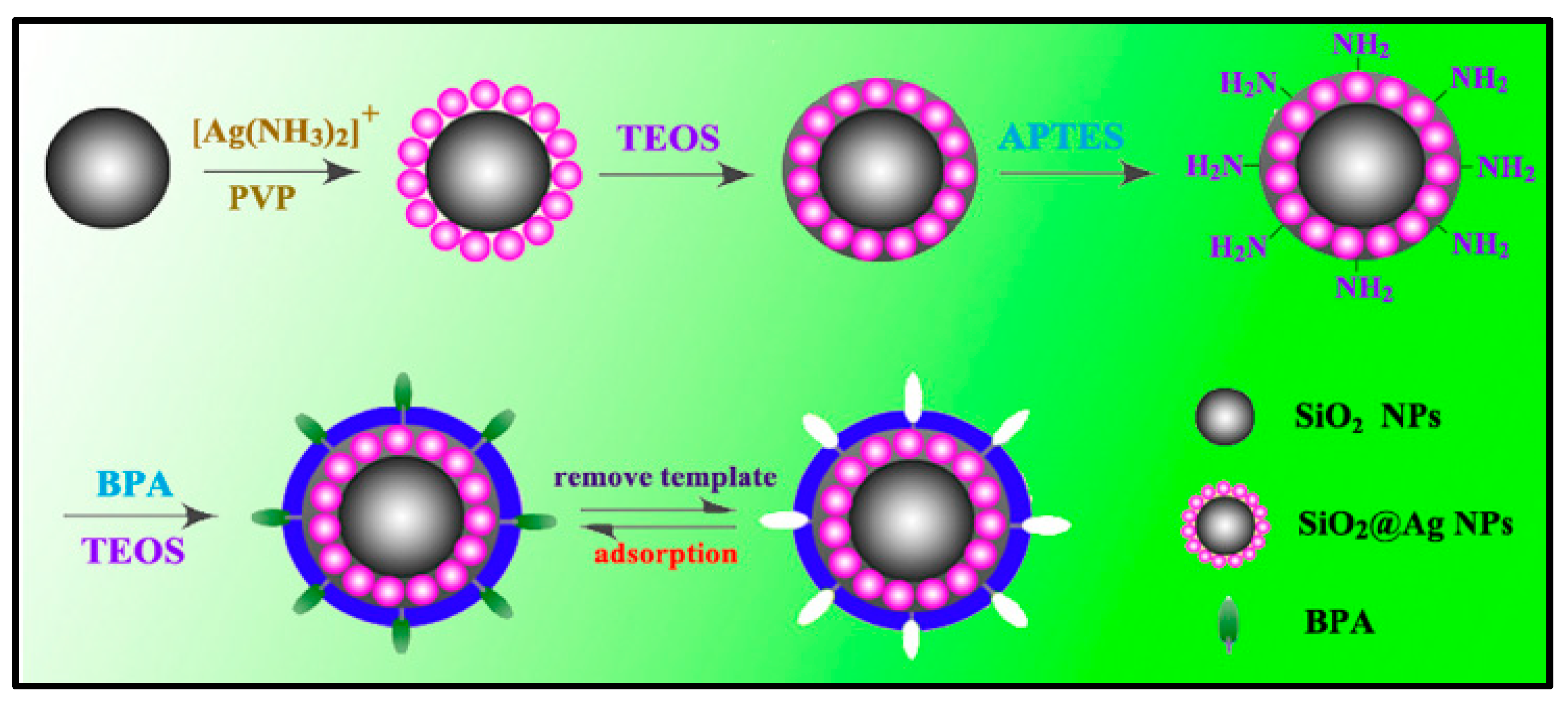 Chemosensors 11 00318 g006