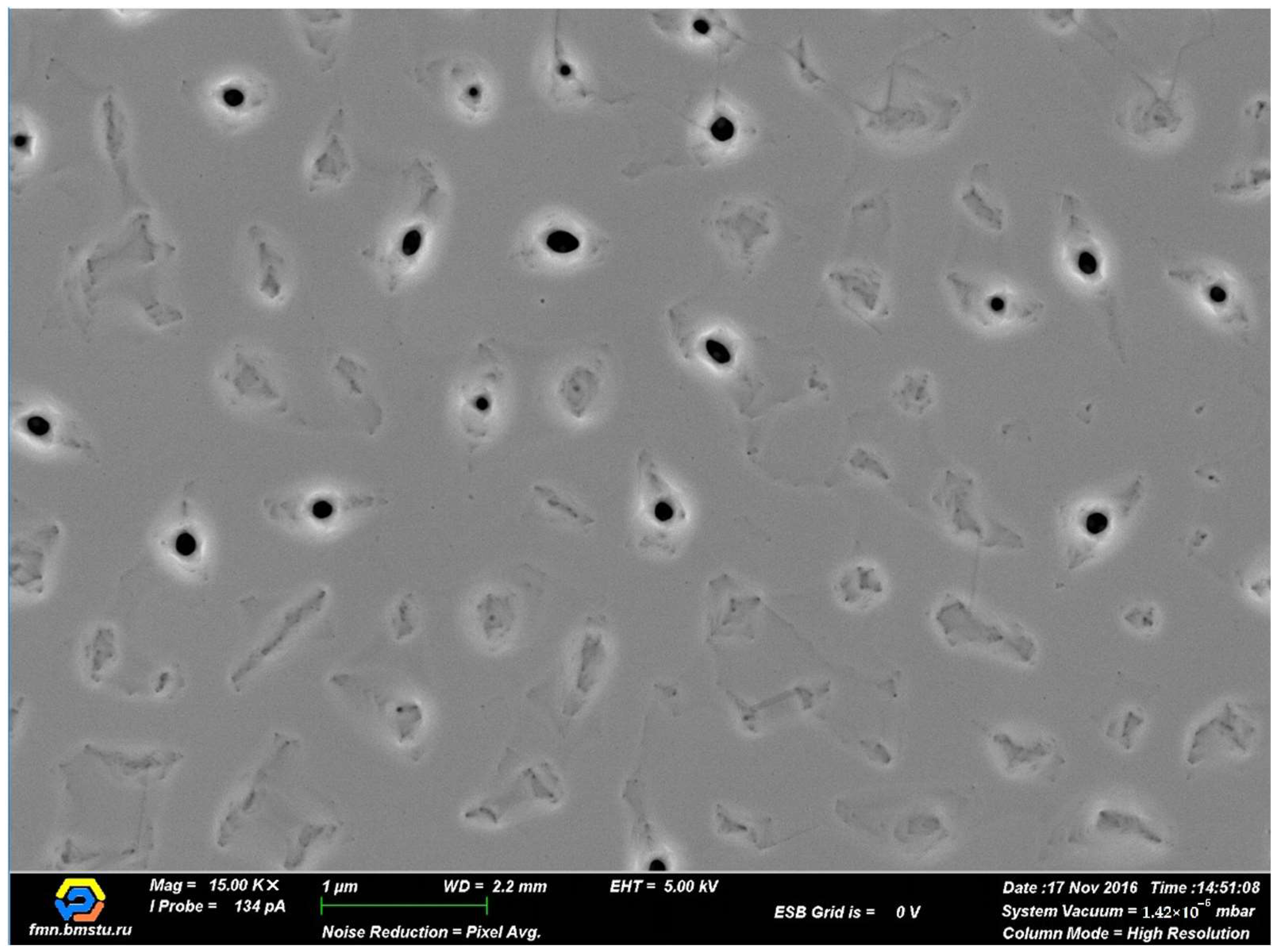 Chemosensors 11 00321 g001