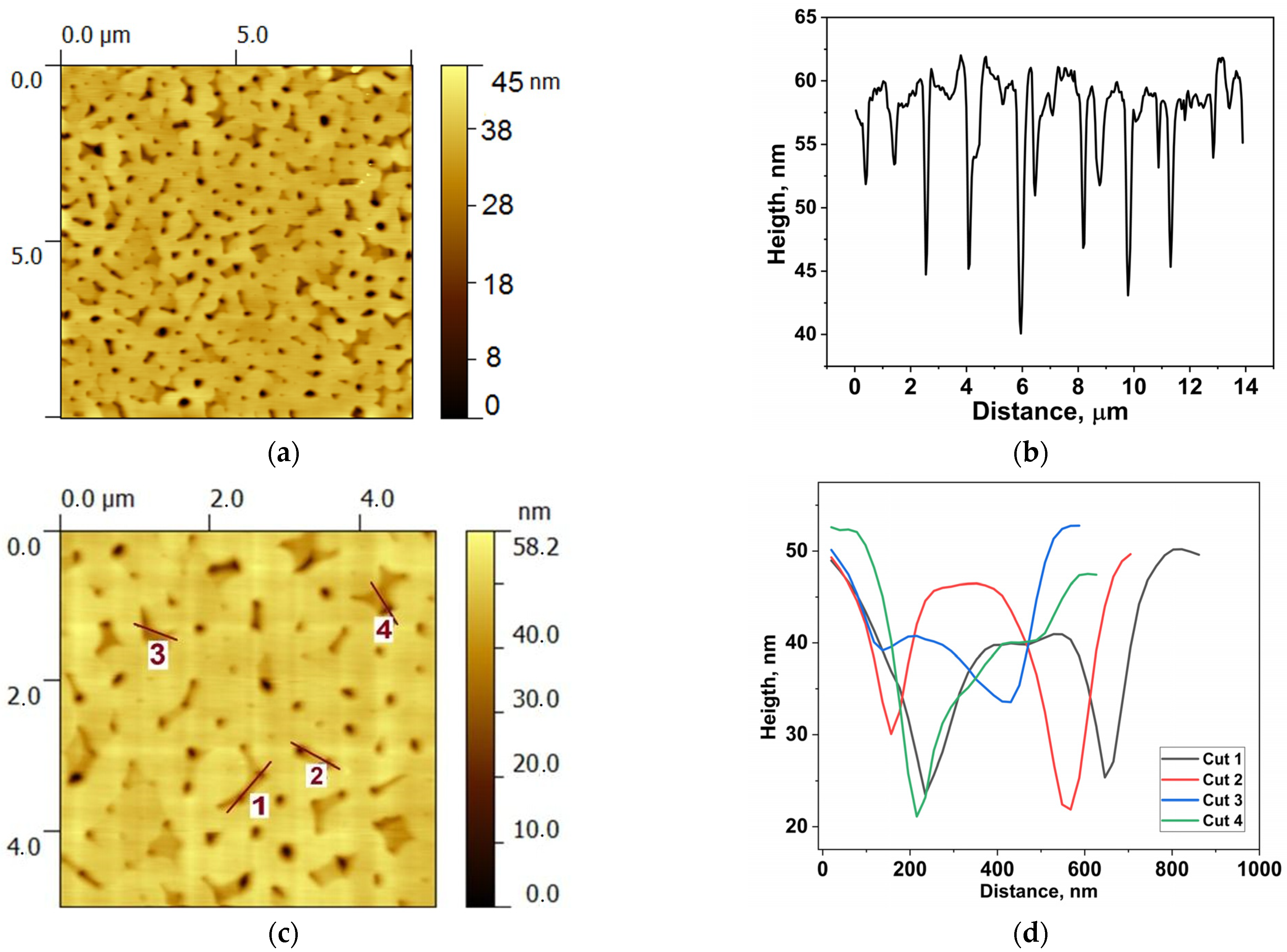Chemosensors 11 00321 g002