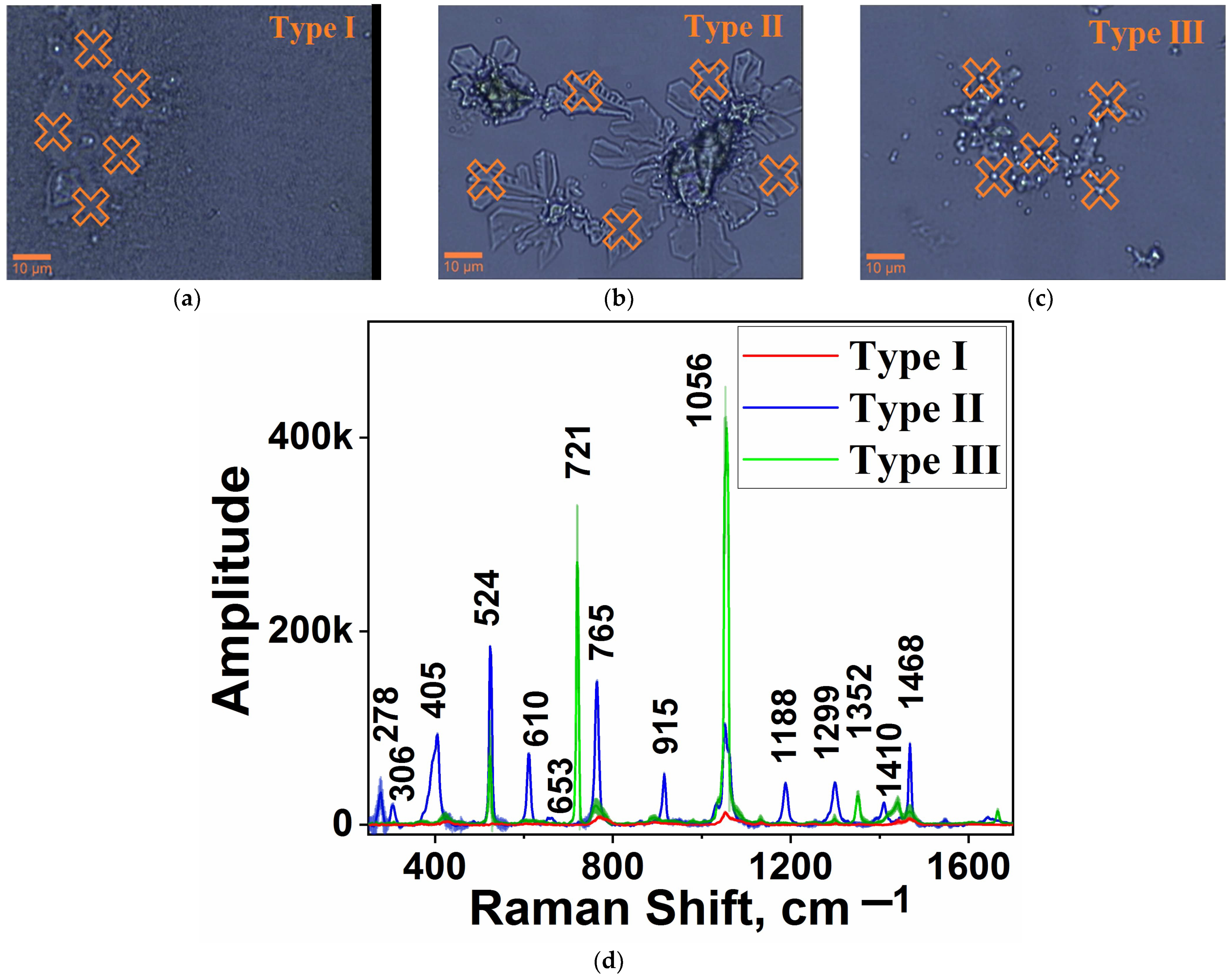 Chemosensors 11 00321 g003