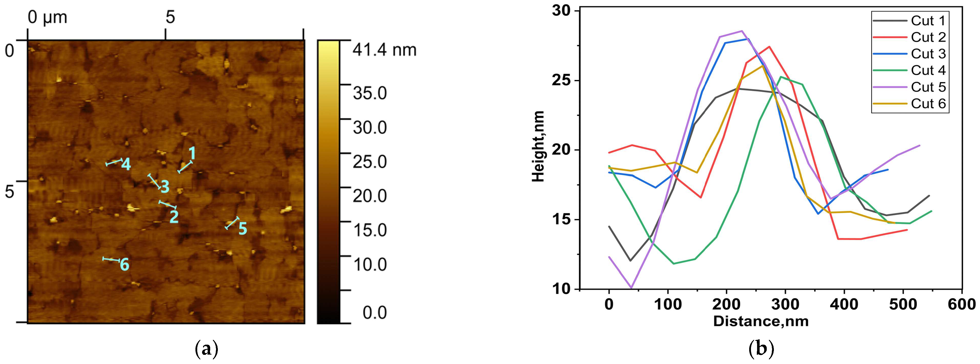 Chemosensors 11 00321 g005a