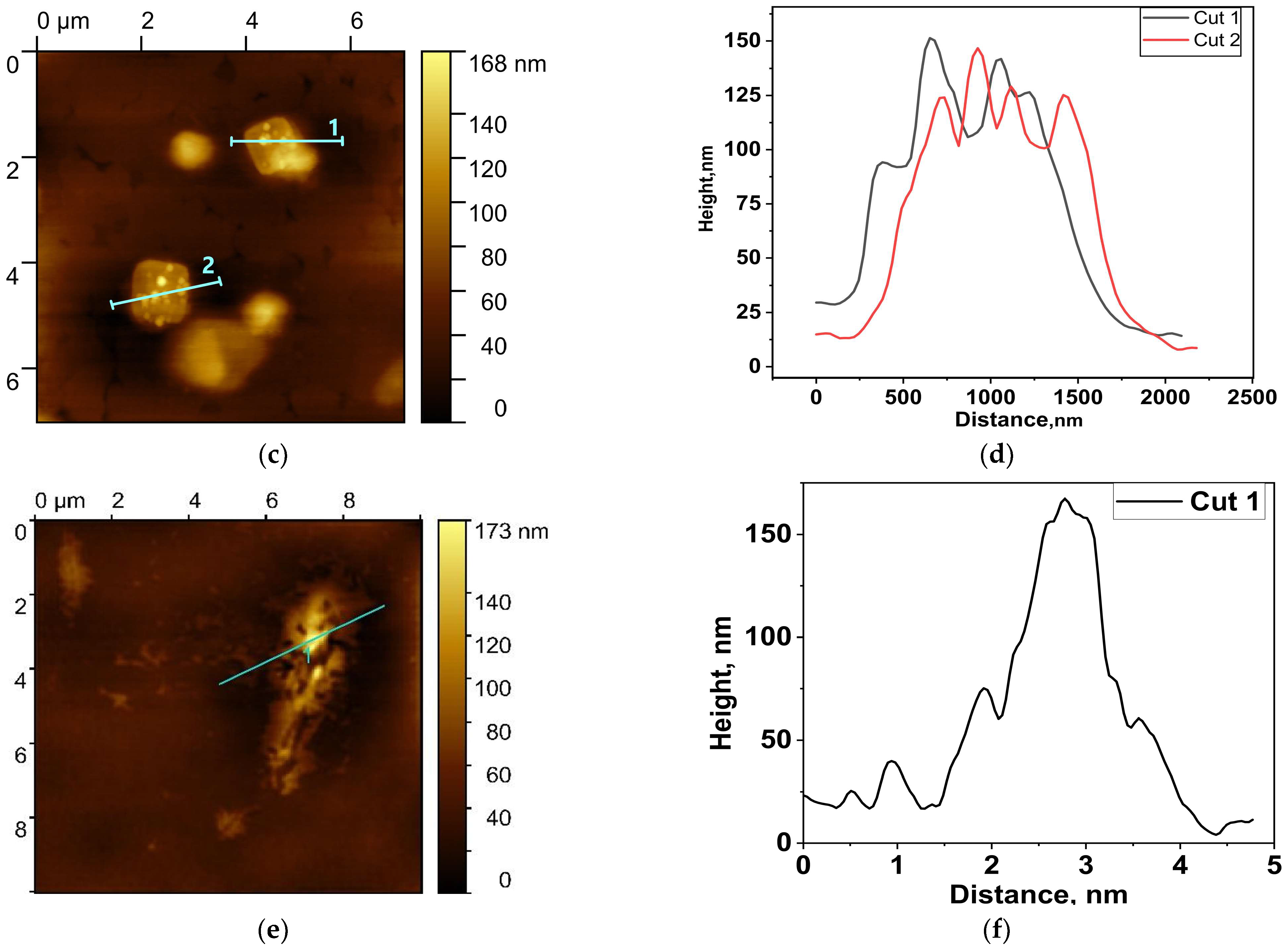 Chemosensors 11 00321 g005b