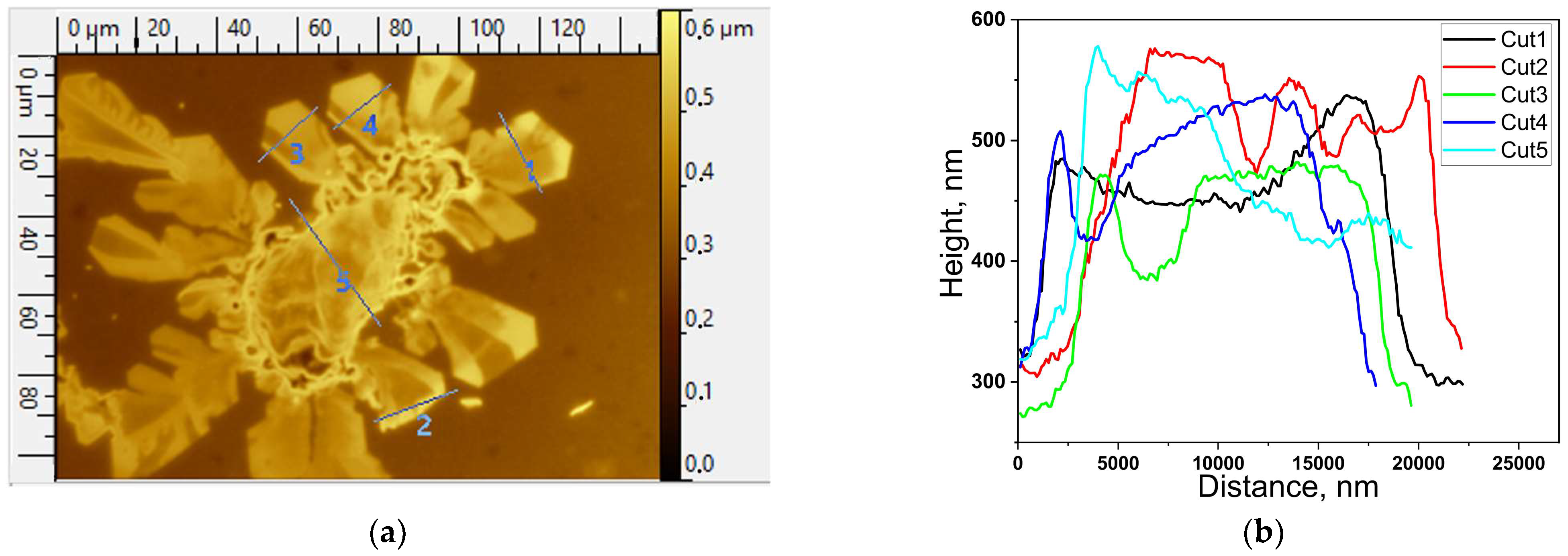 Chemosensors 11 00321 g006