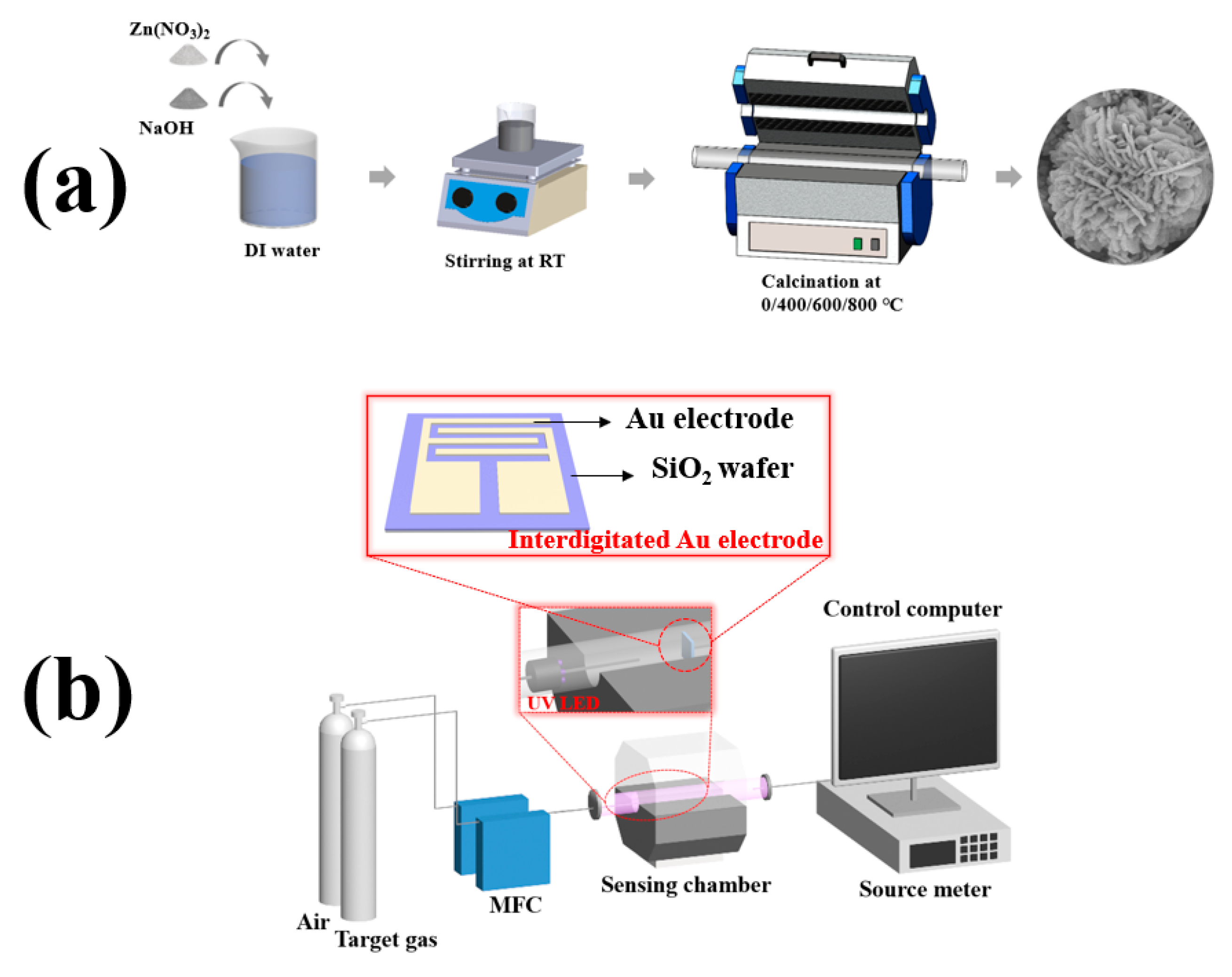Chemosensors 11 00322 g001