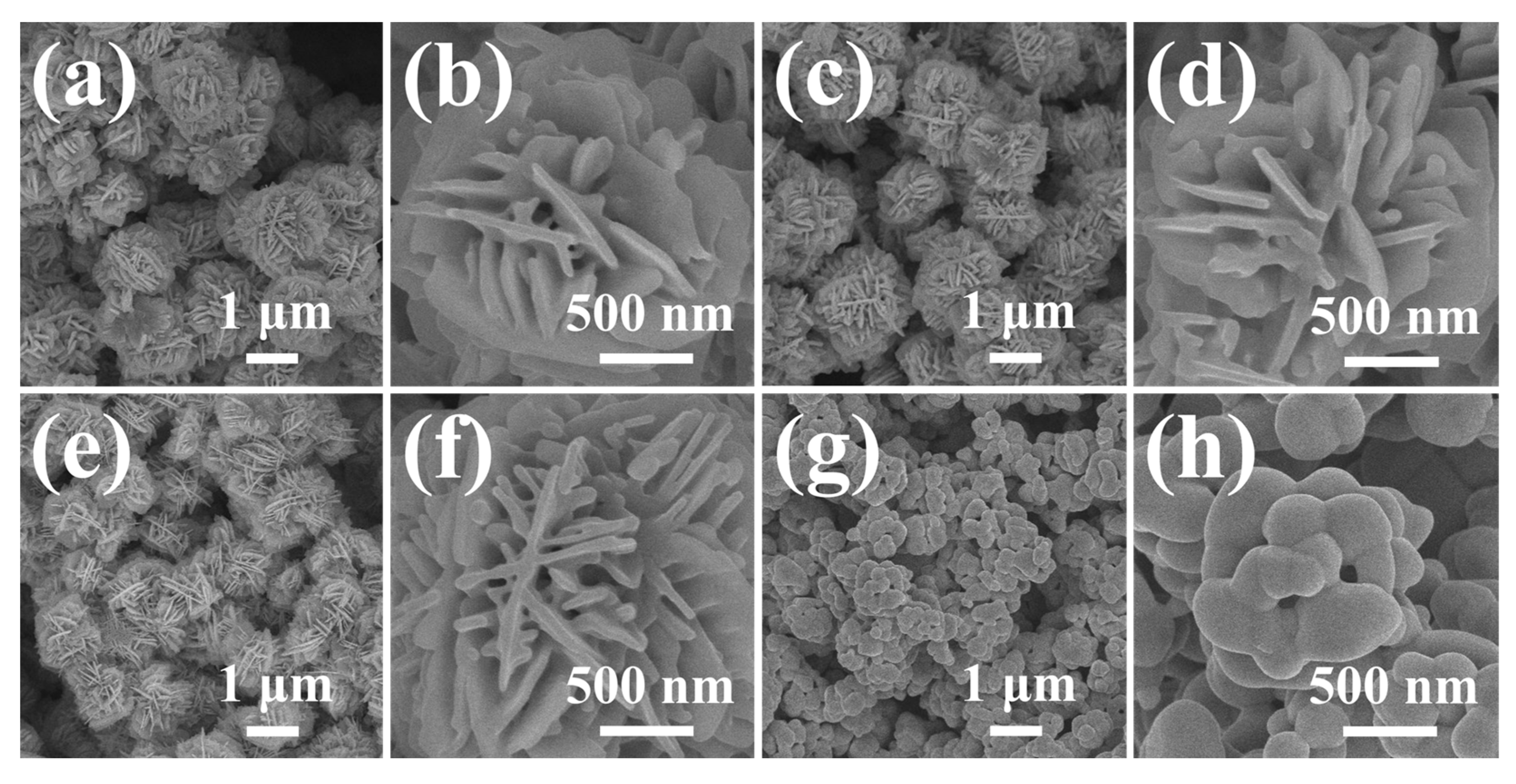 Chemosensors 11 00322 g002