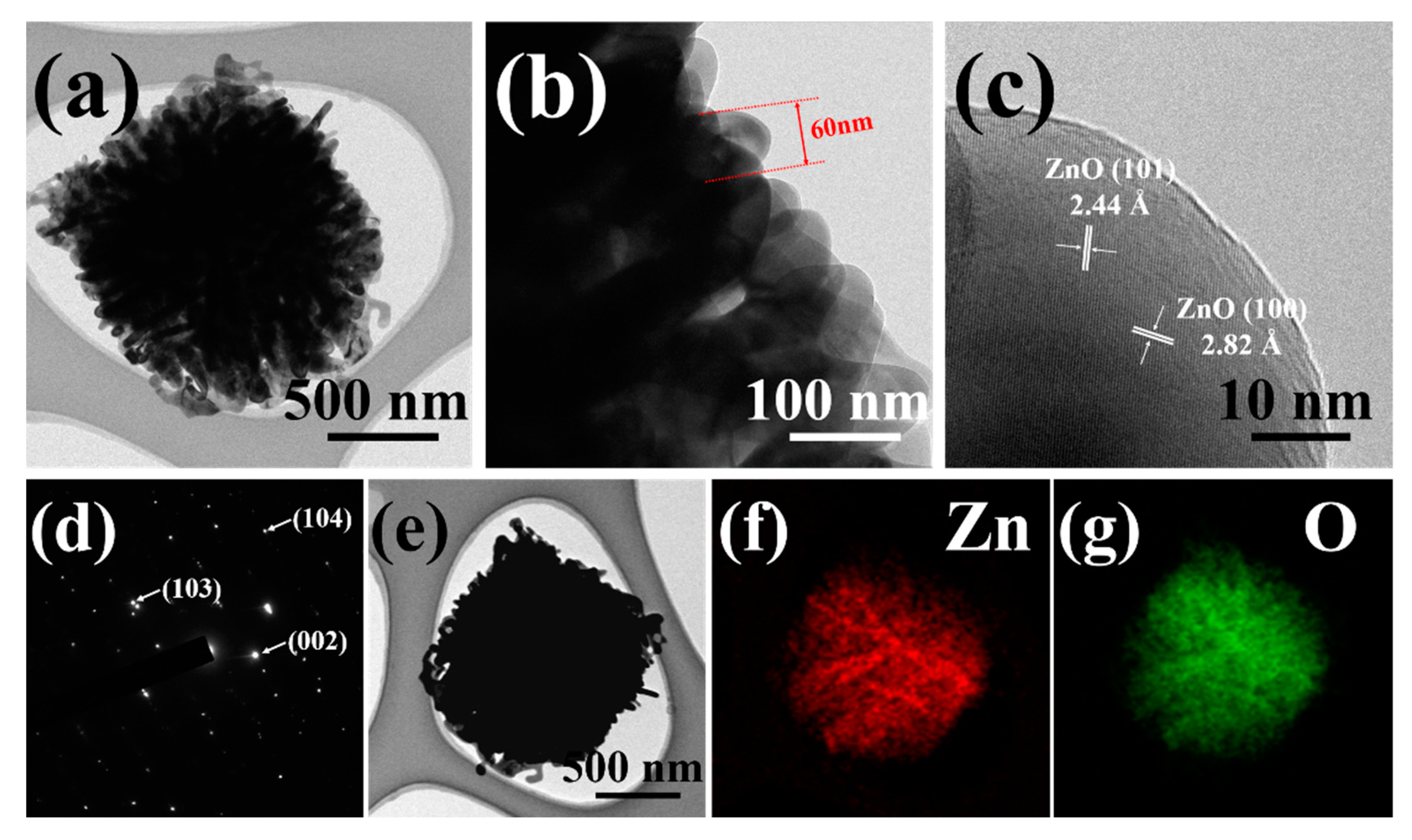 Chemosensors 11 00322 g004