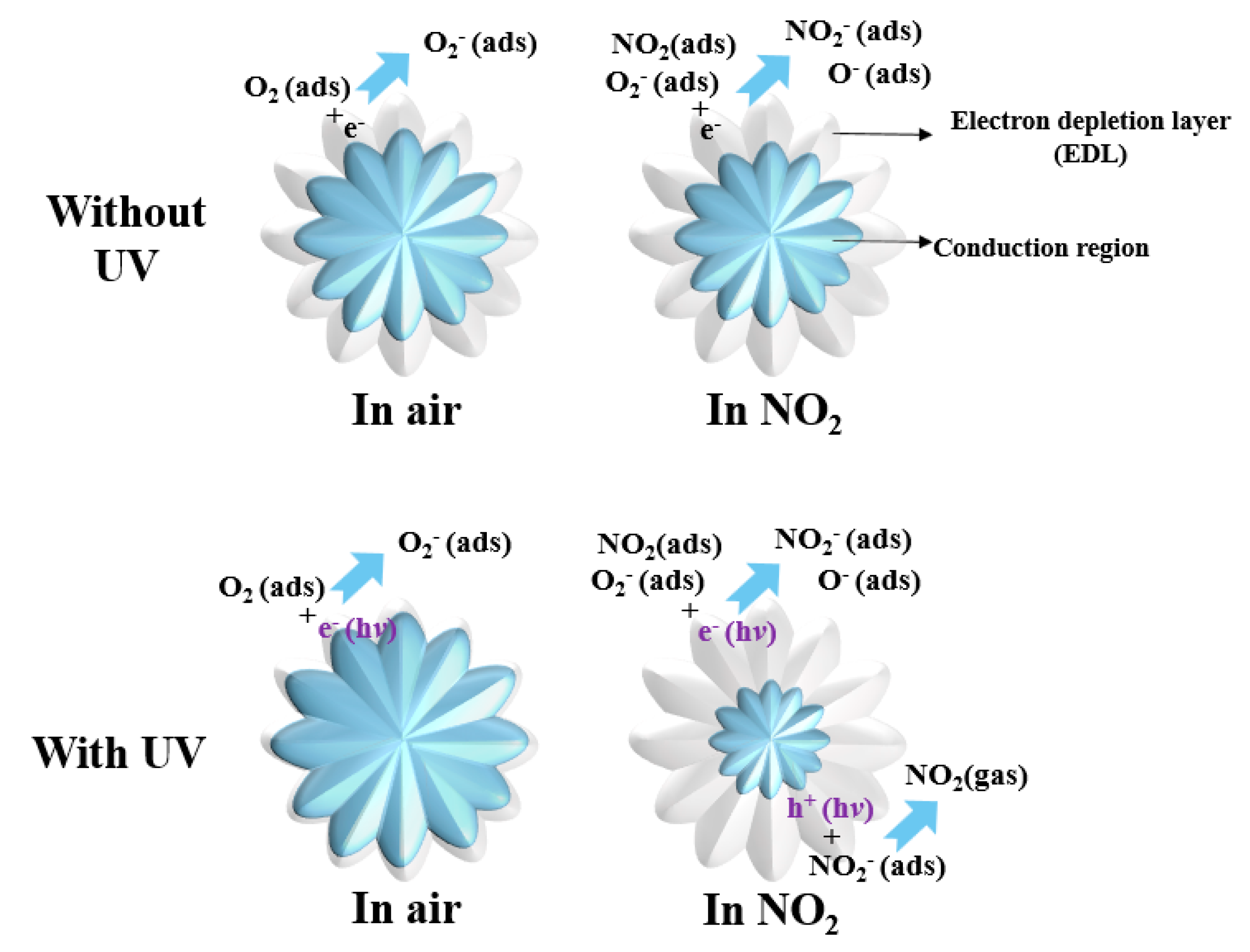 Chemosensors 11 00322 g011
