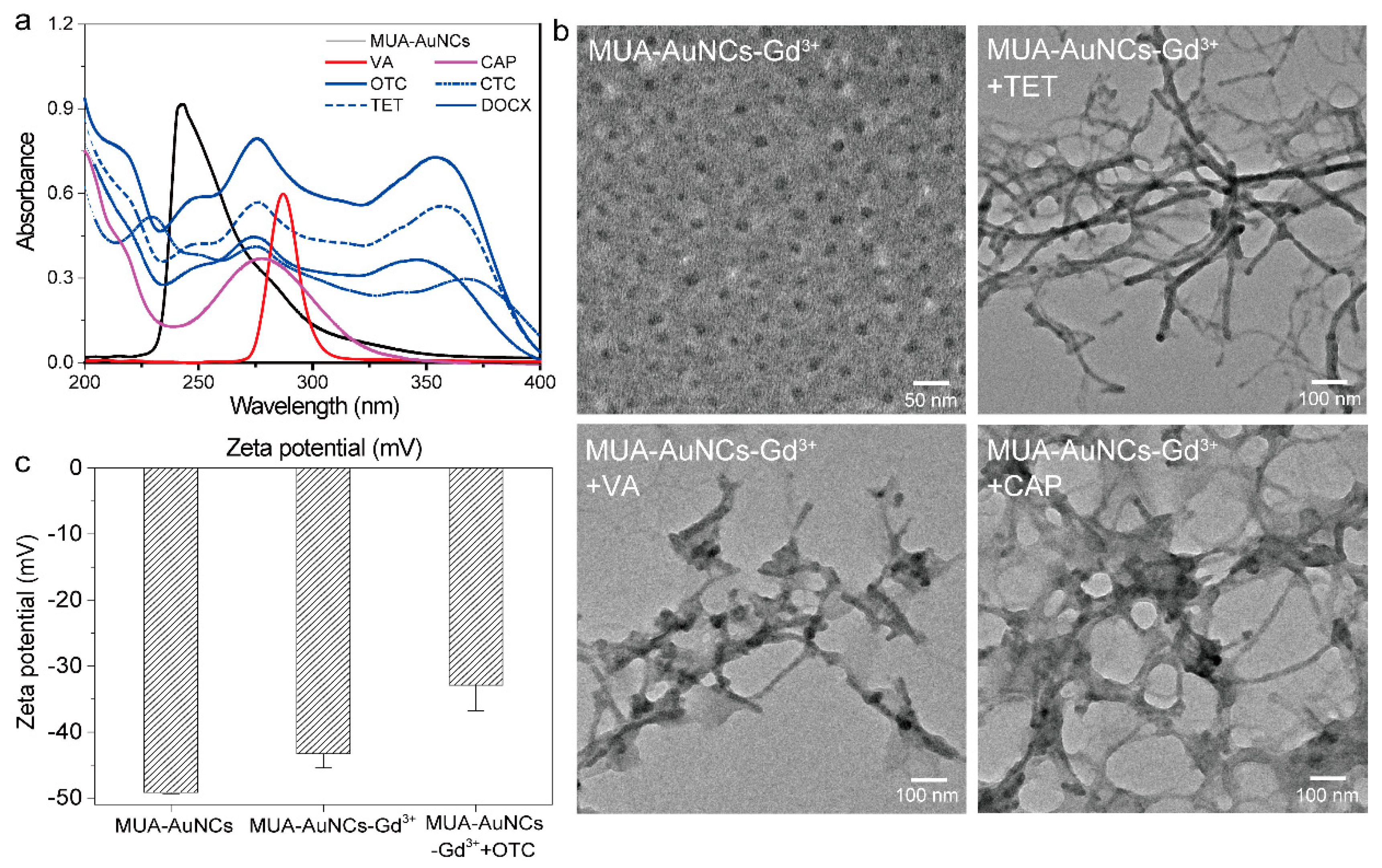 Chemosensors 11 00330 g002