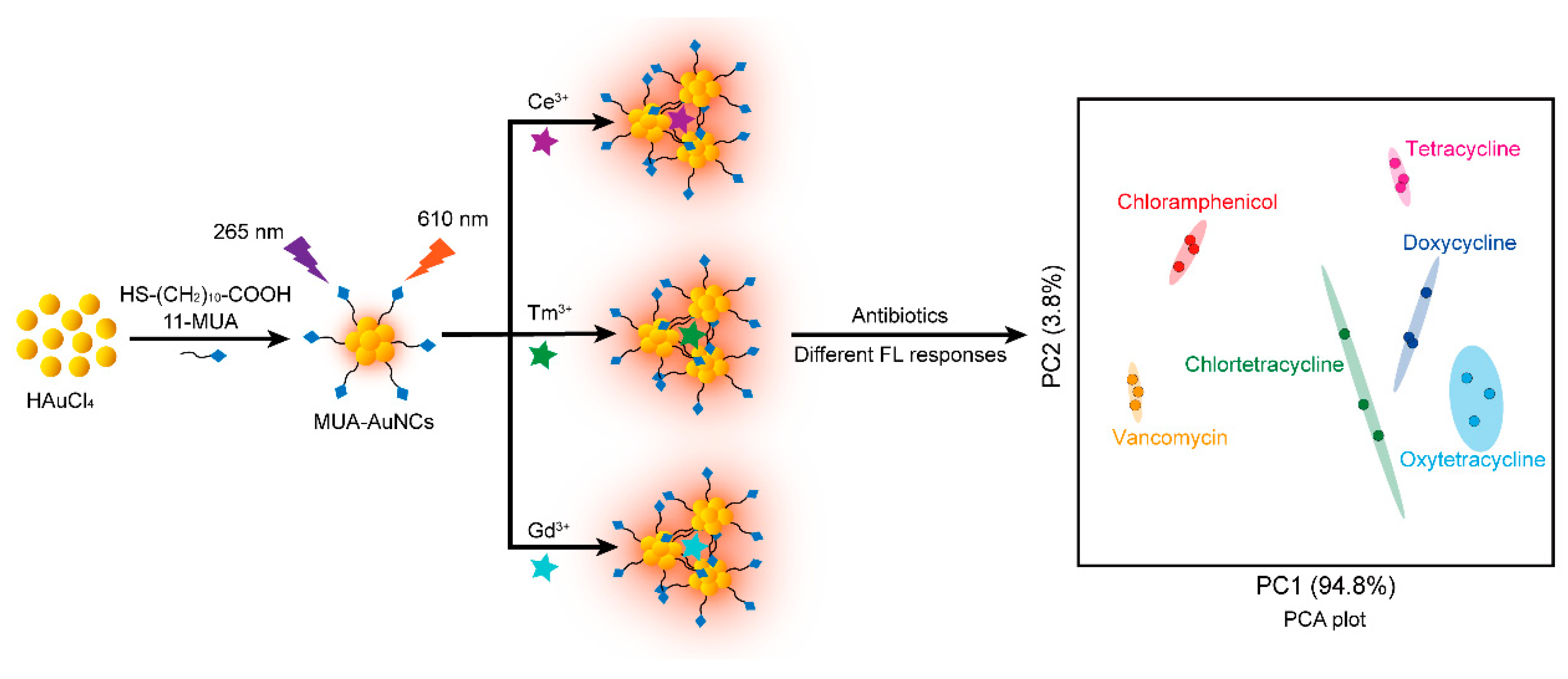 Chemosensors 11 00330 sch001