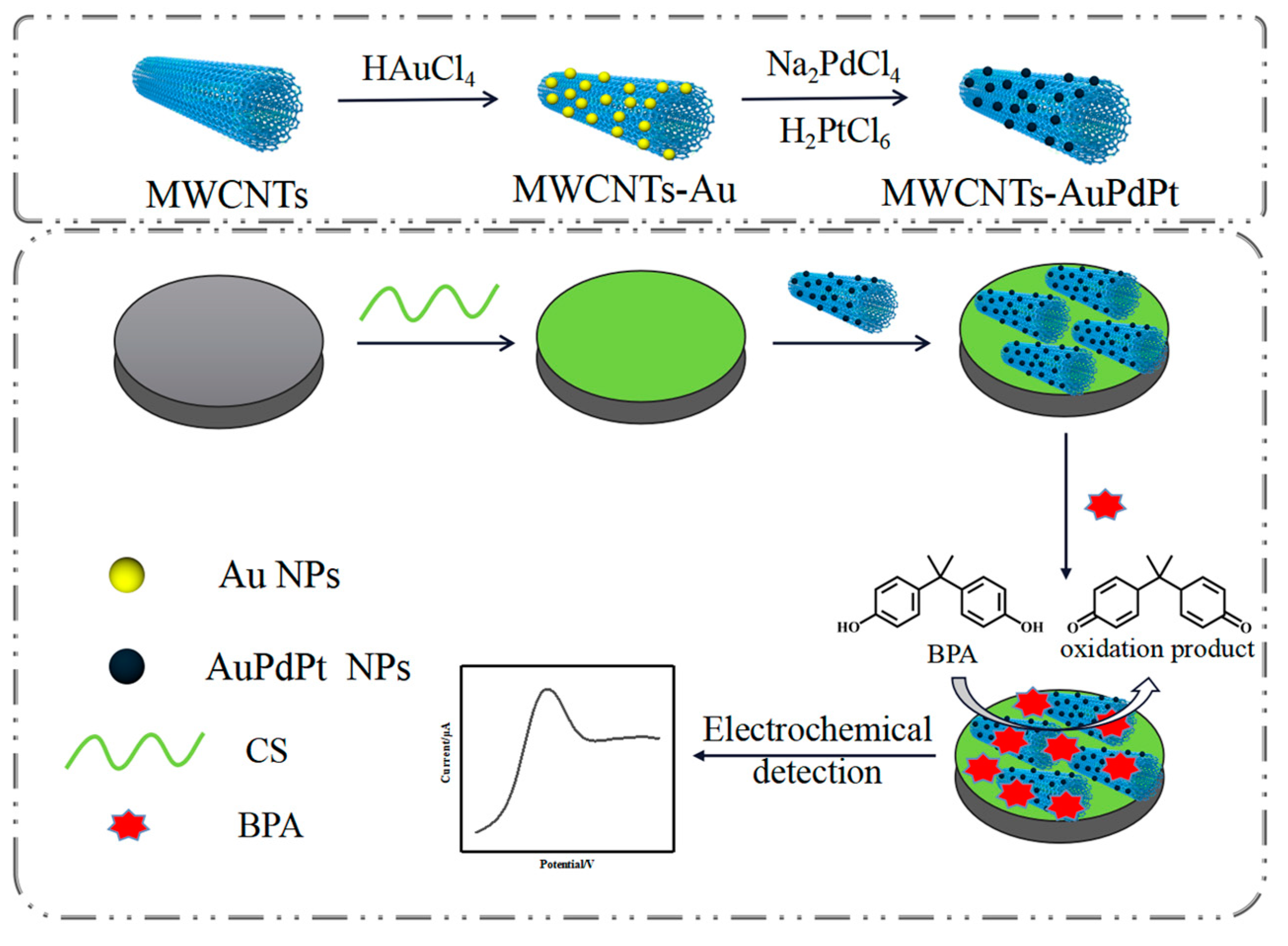 Chemosensors 11 00331 g001
