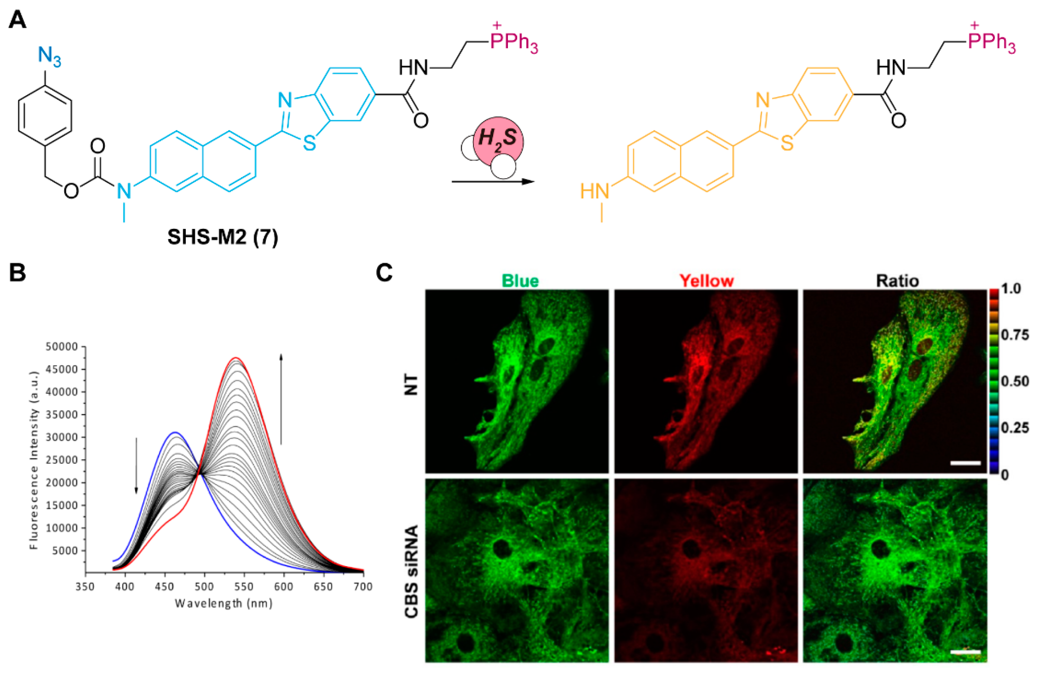 Chemosensors 11 00333 g003 Chemosensors 11 00333 g003