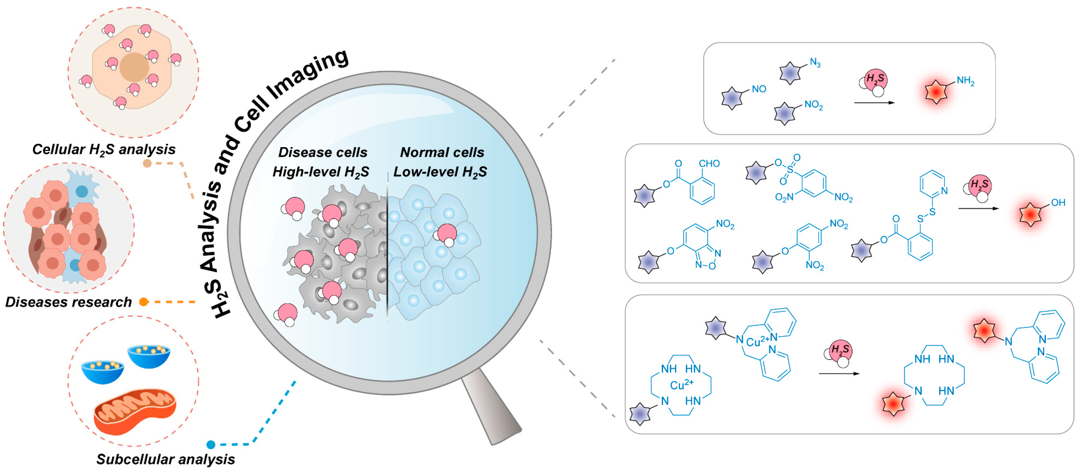 Chemosensors 11 00333 sch001 Chemosensors 11 00333 sch001