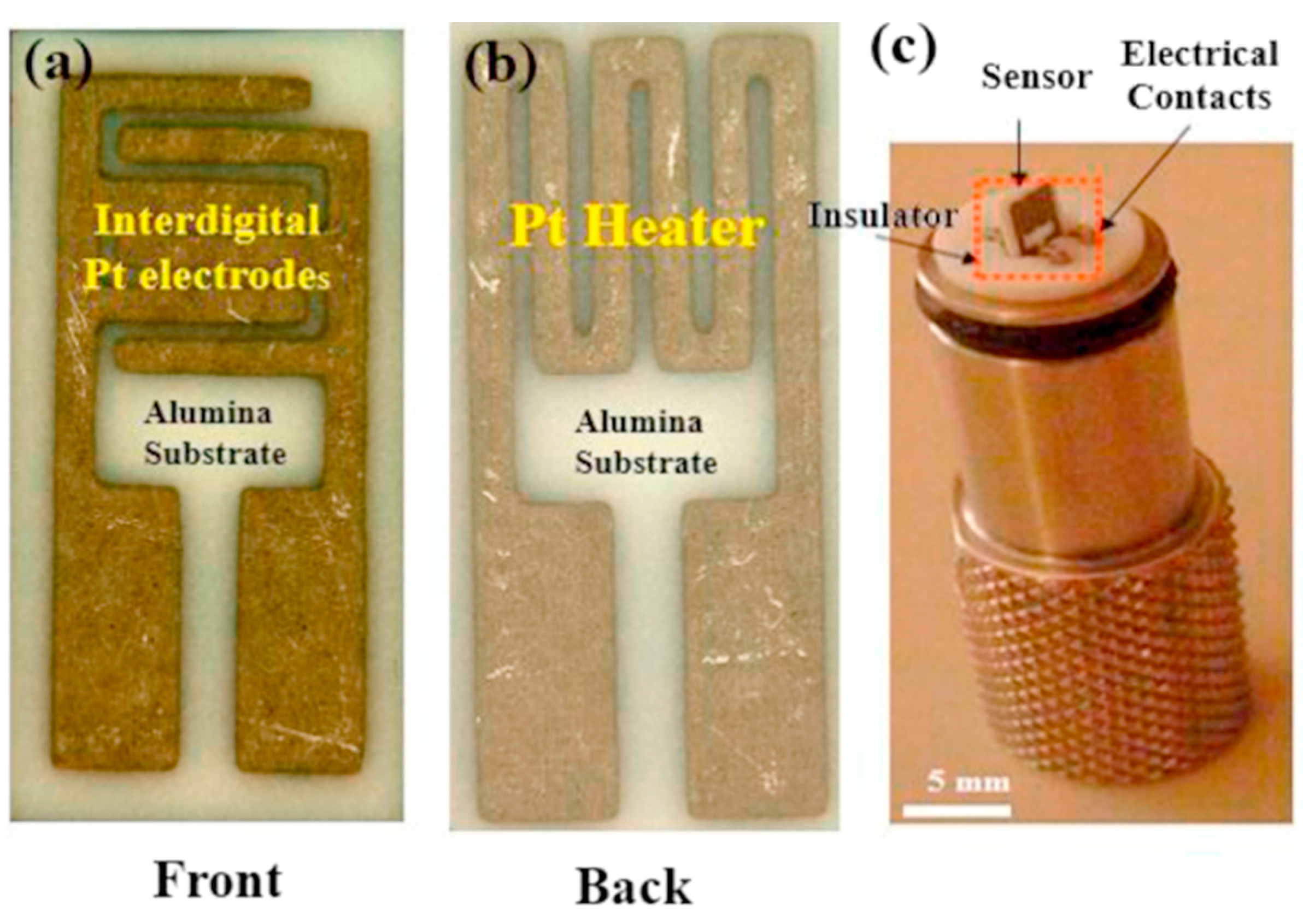 Chemosensors 11 00334 g002