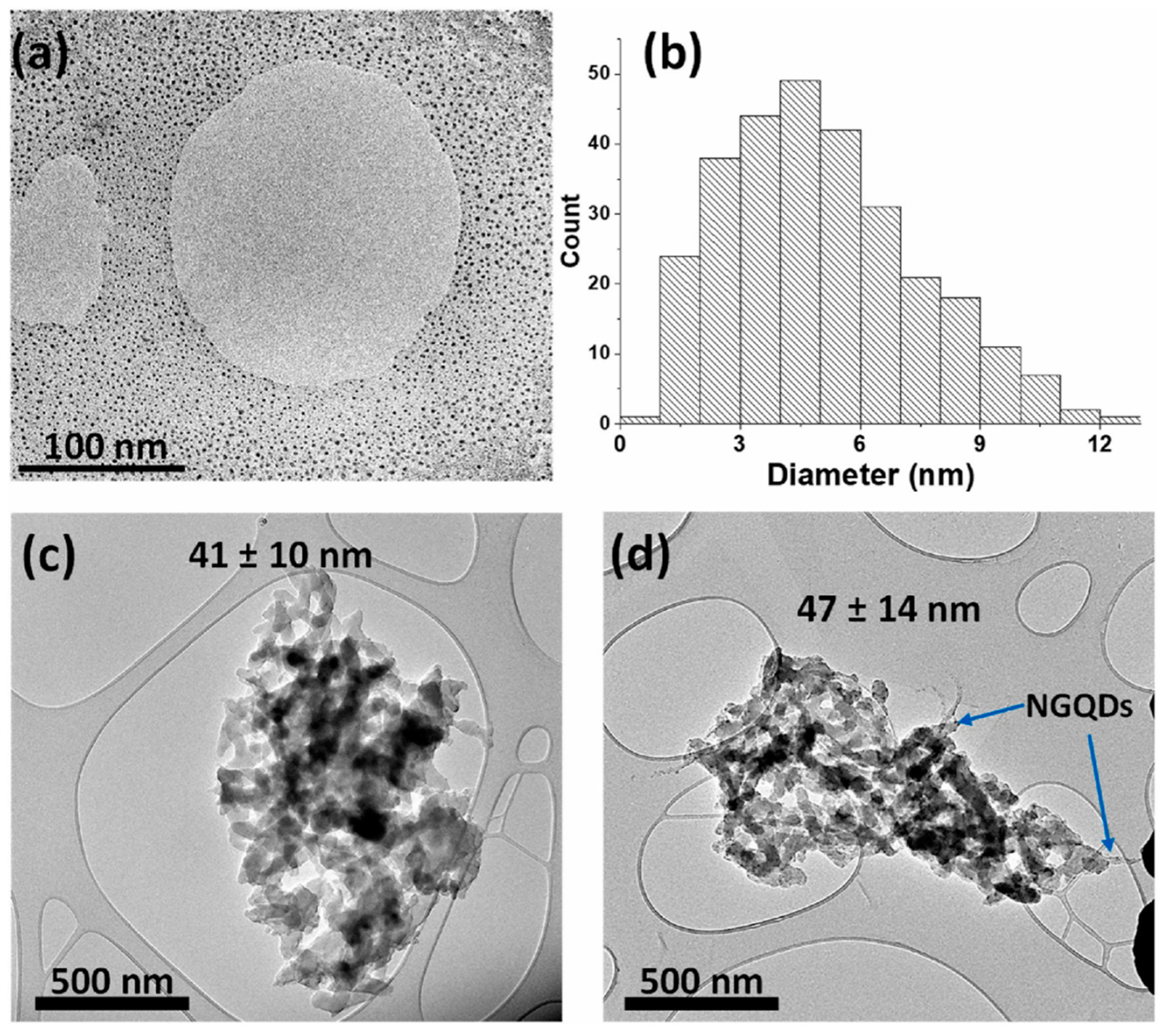 Chemosensors 11 00334 g010