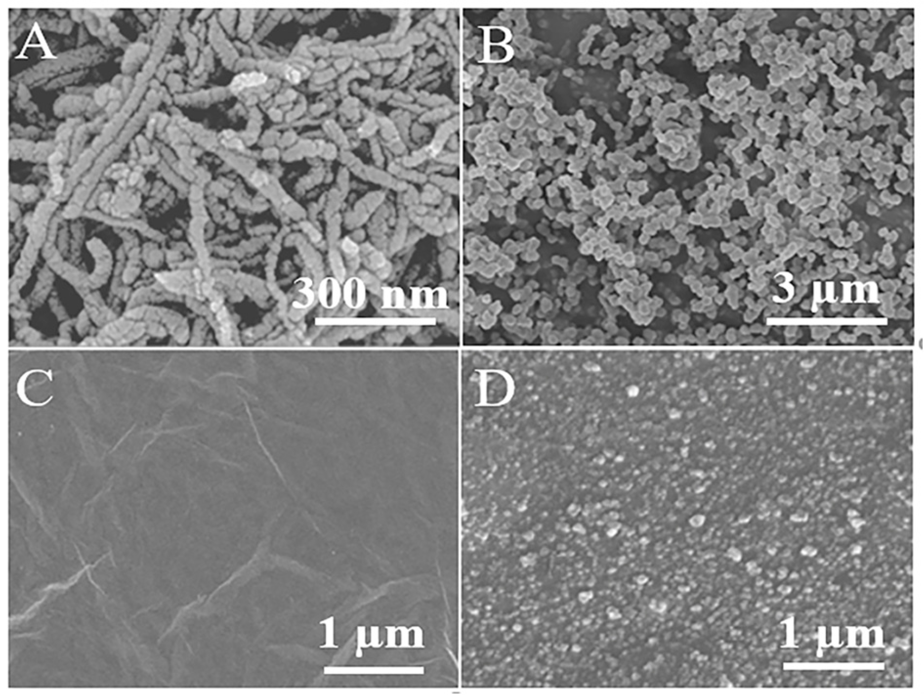 Chemosensors 11 00339 g001