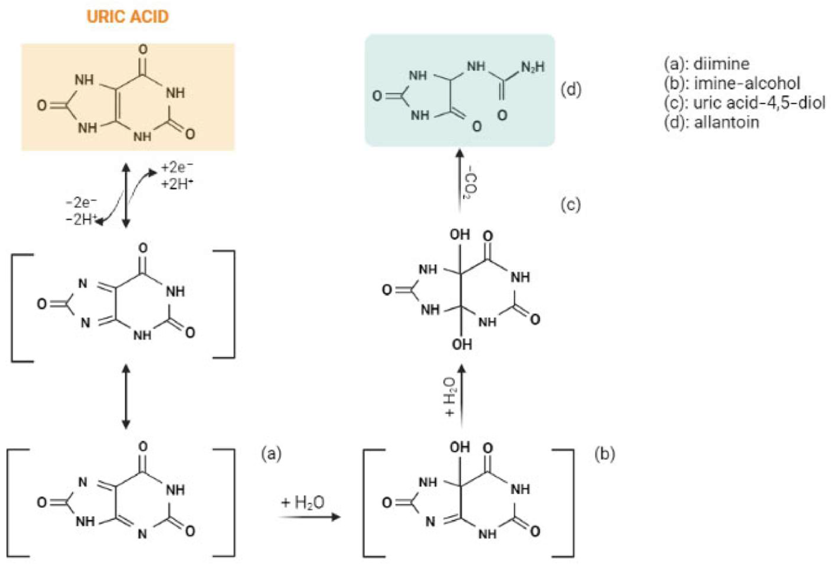 Chemosensors 11 00341 g001