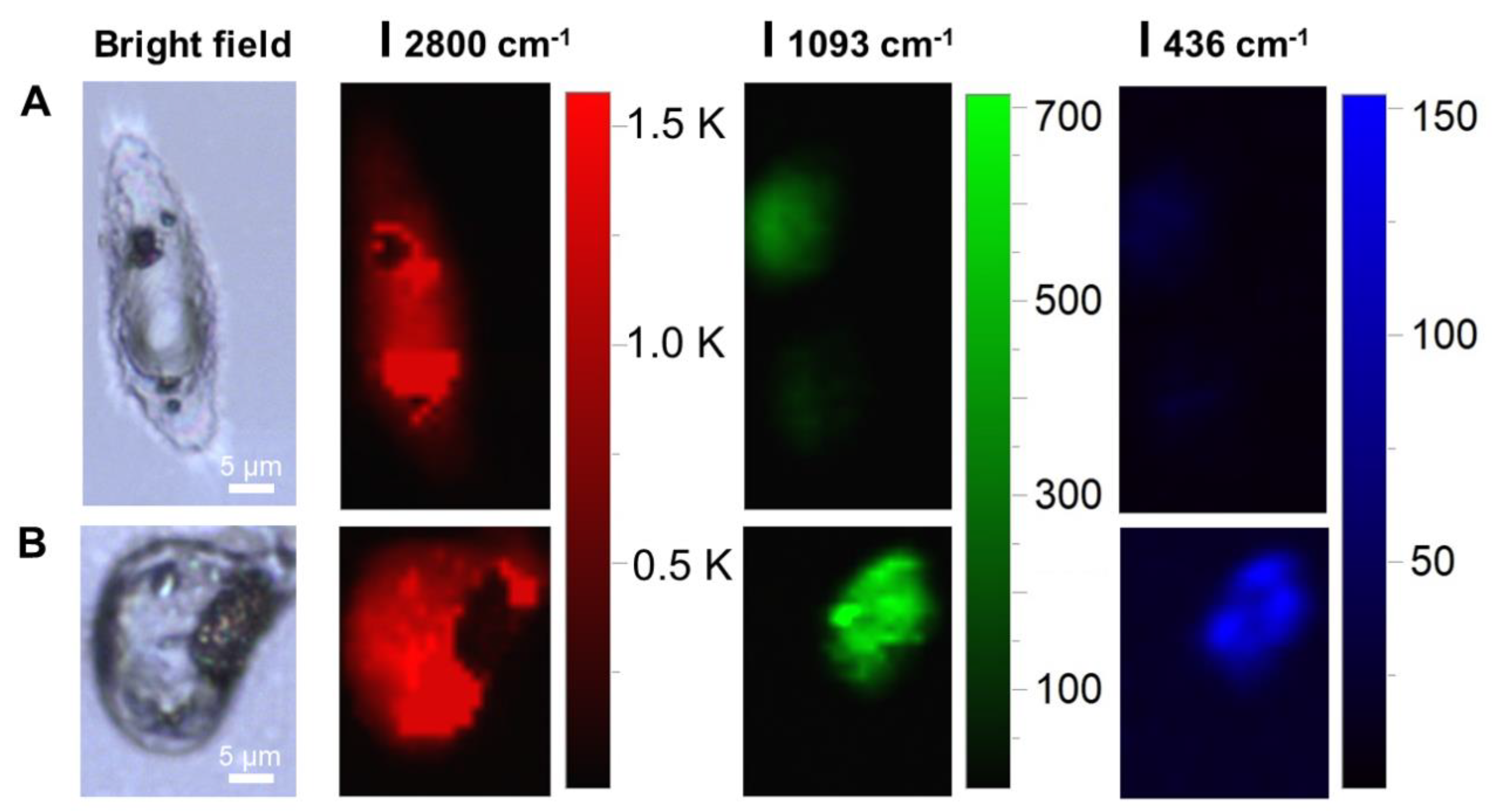 Chemosensors 11 00347 g010 Chemosensors 11 00347 g010