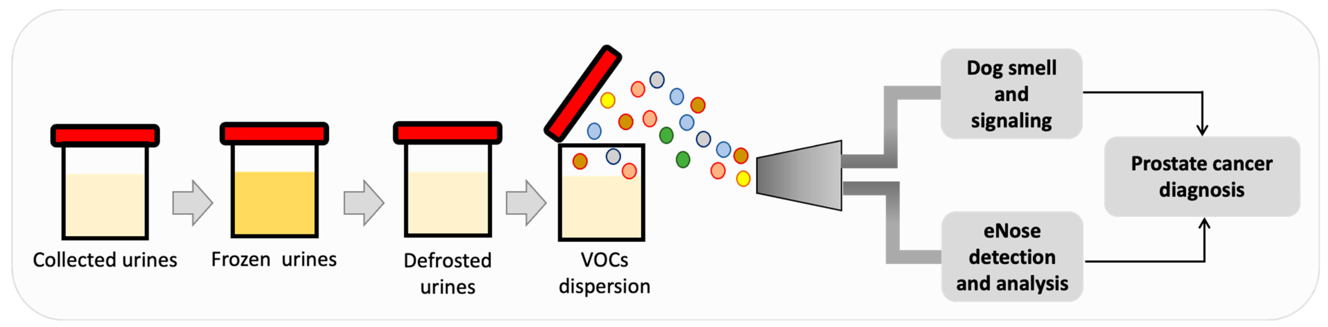 Chemosensors 11 00356 g001