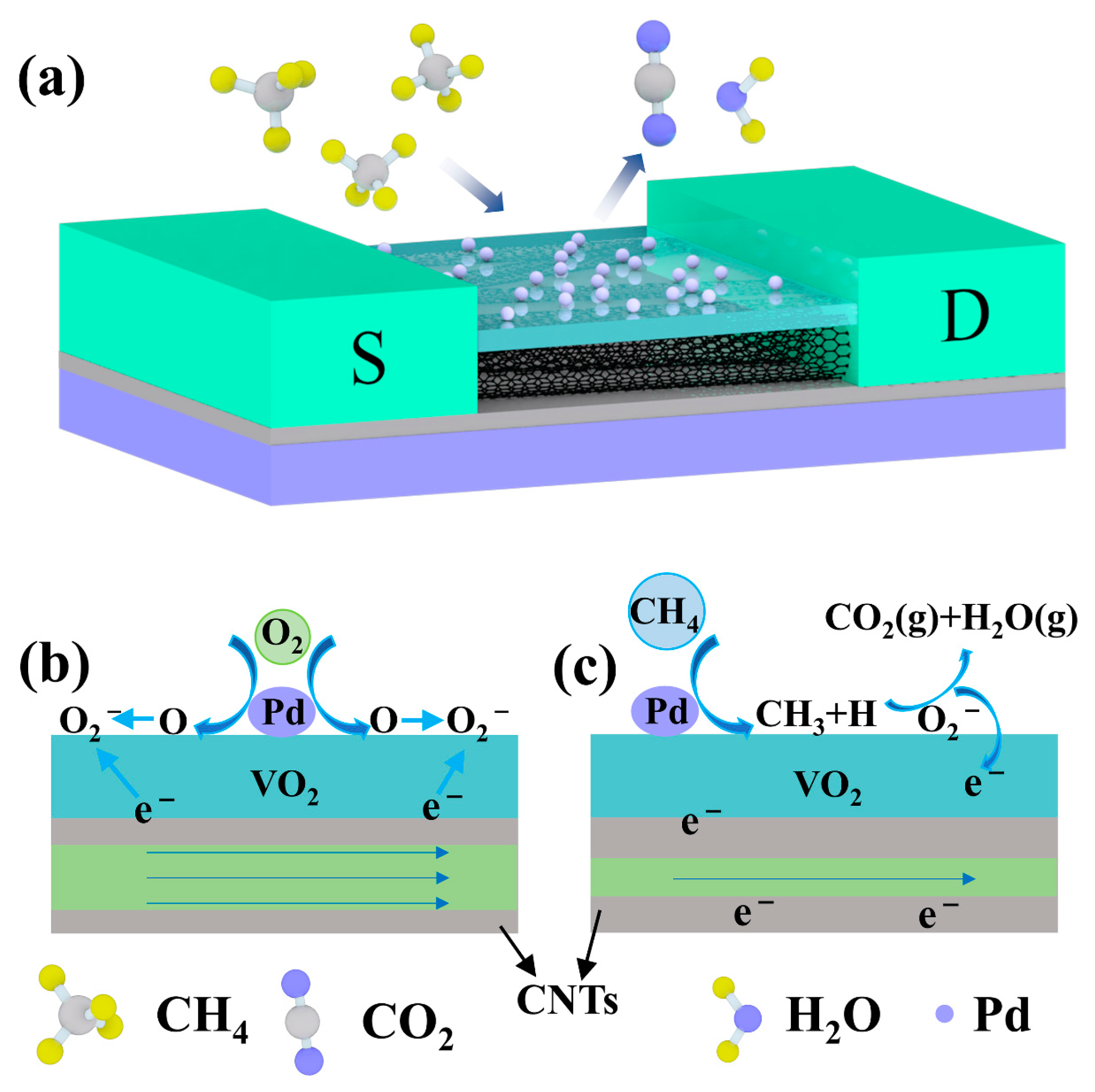 Chemosensors 11 00365 g005