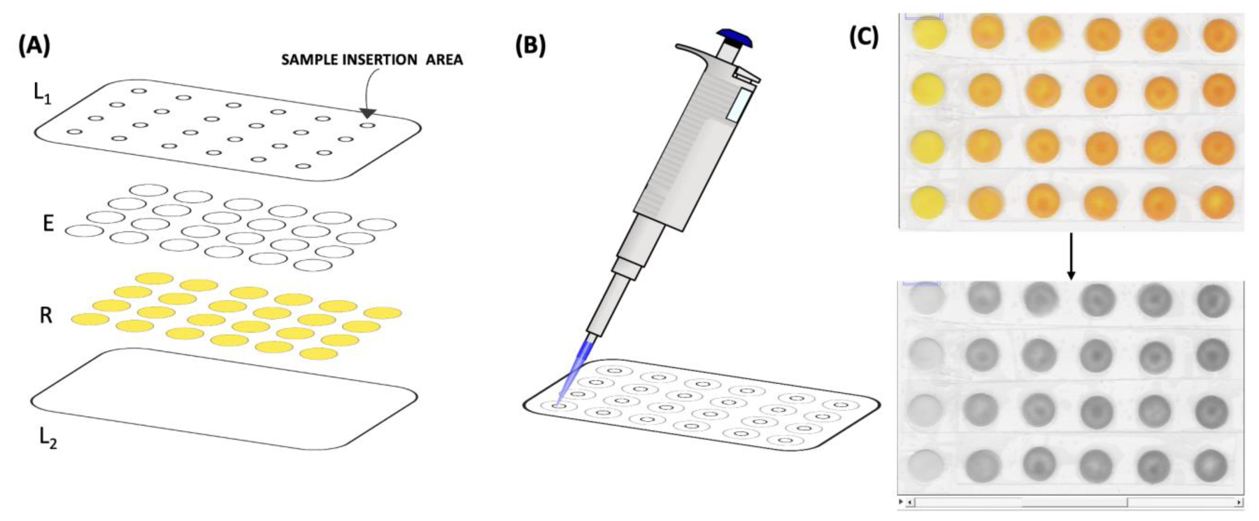 Chemosensors 11 00368 g001