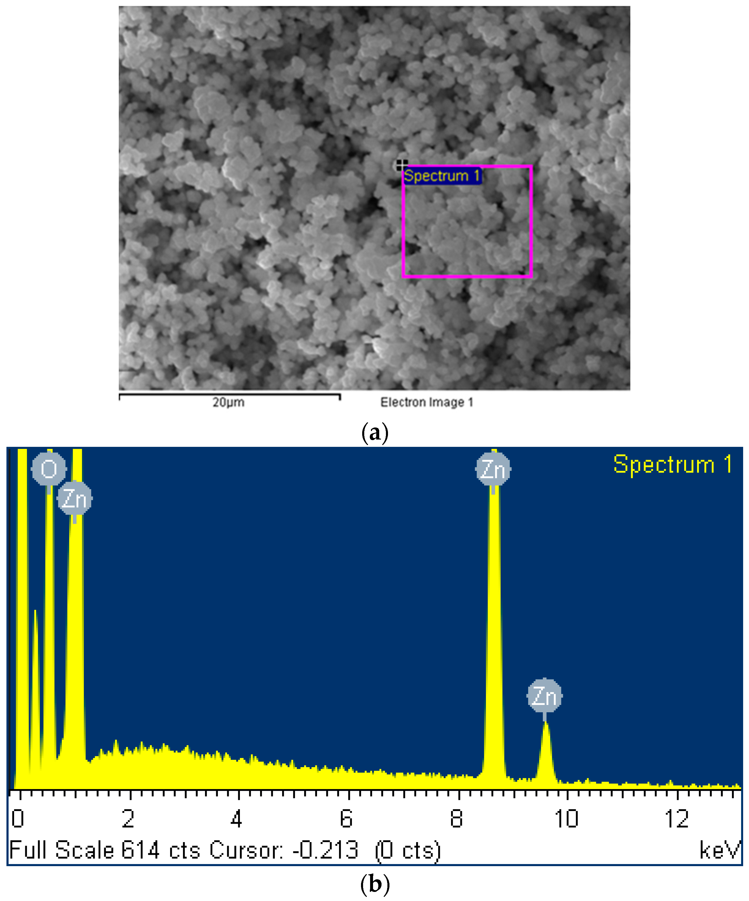 Chemosensors 11 00369 g001