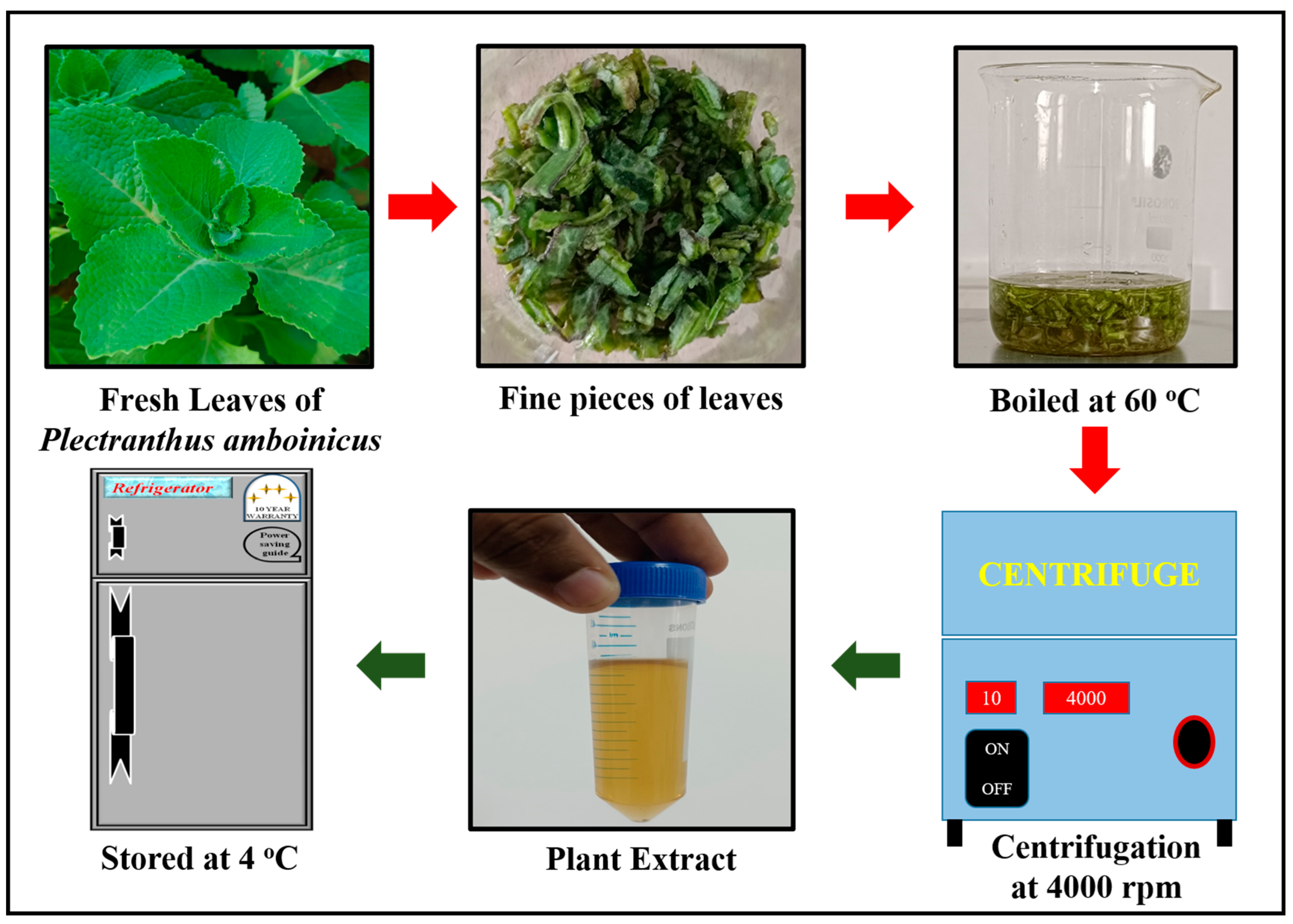 Chemosensors 11 00373 g001 Chemosensors 11 00373 g001