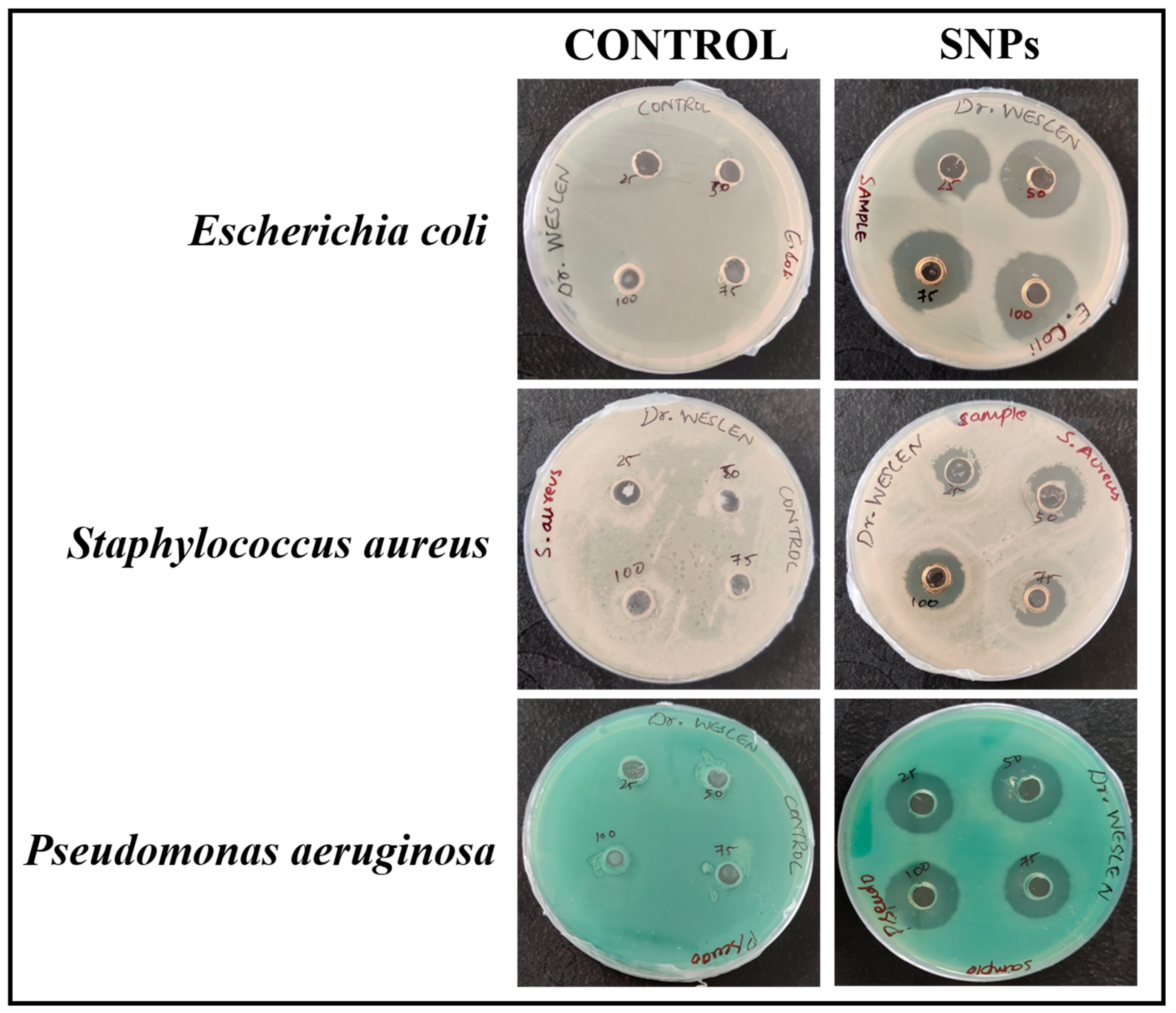 Chemosensors 11 00373 g010 Chemosensors 11 00373 g010