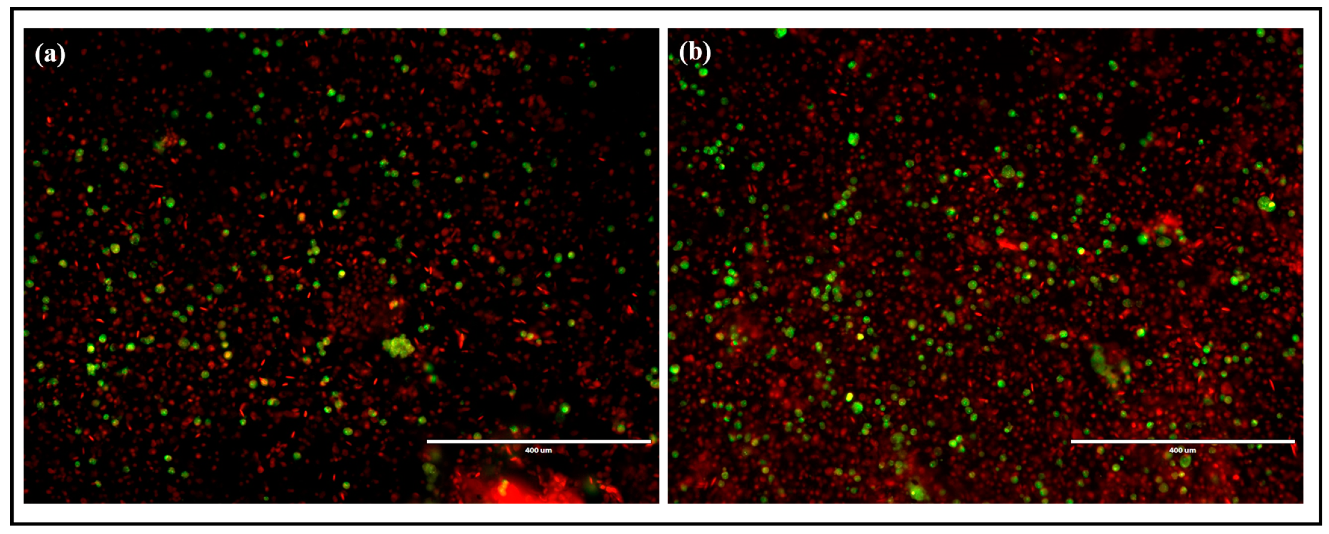 Chemosensors 11 00373 g013 Chemosensors 11 00373 g013