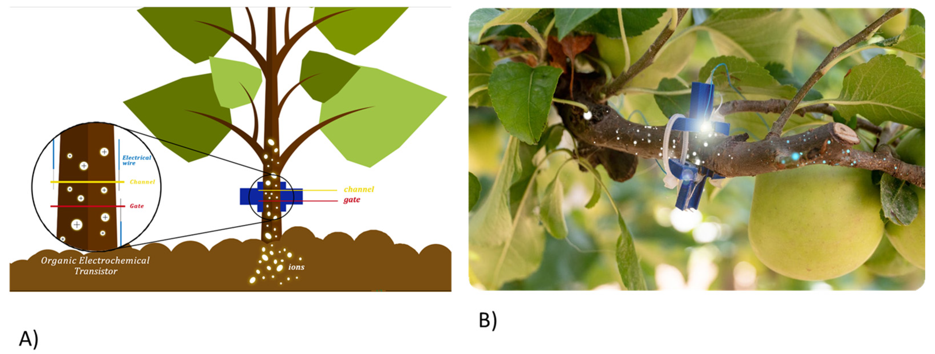 Chemosensors 11 00374 g001 Chemosensors 11 00374 g001