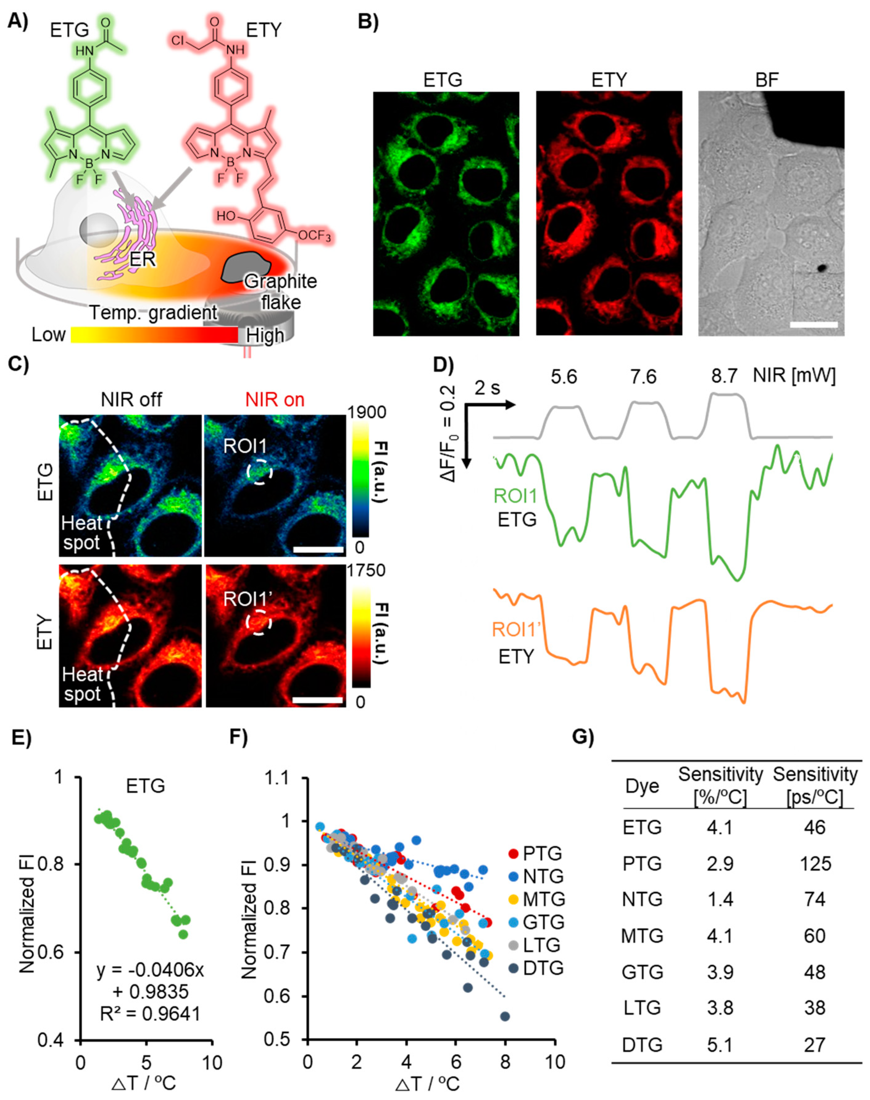 Chemosensors 11 00375 g001