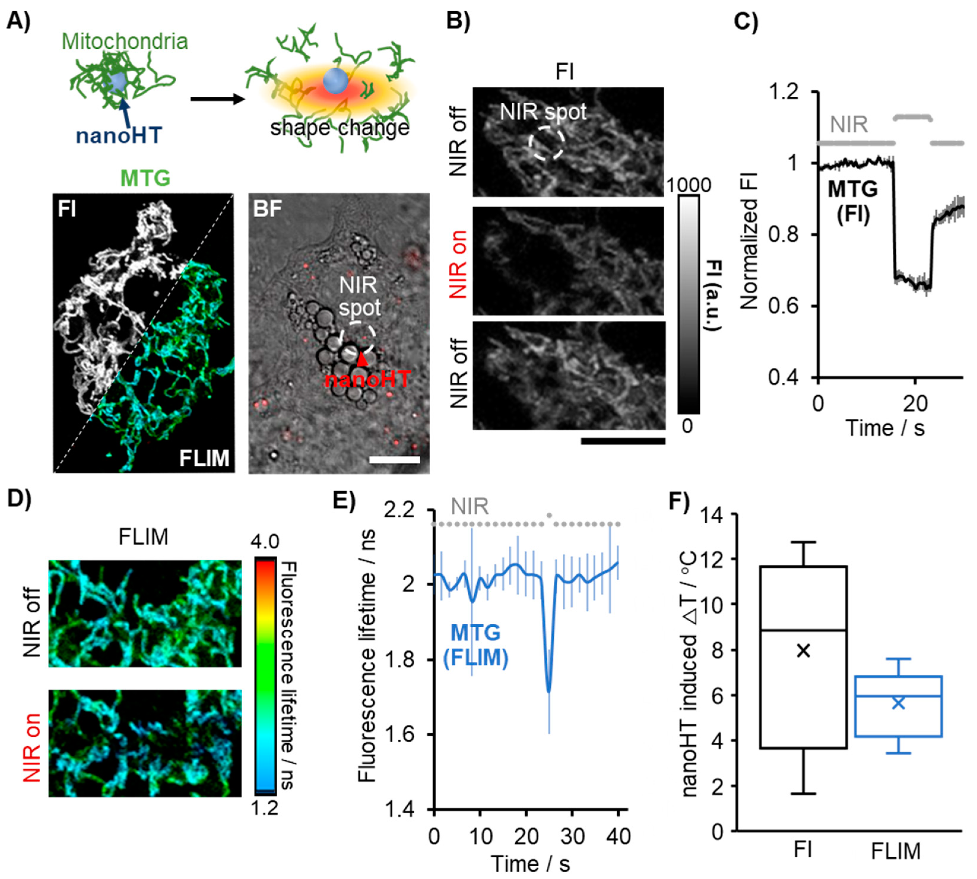 Chemosensors 11 00375 g003