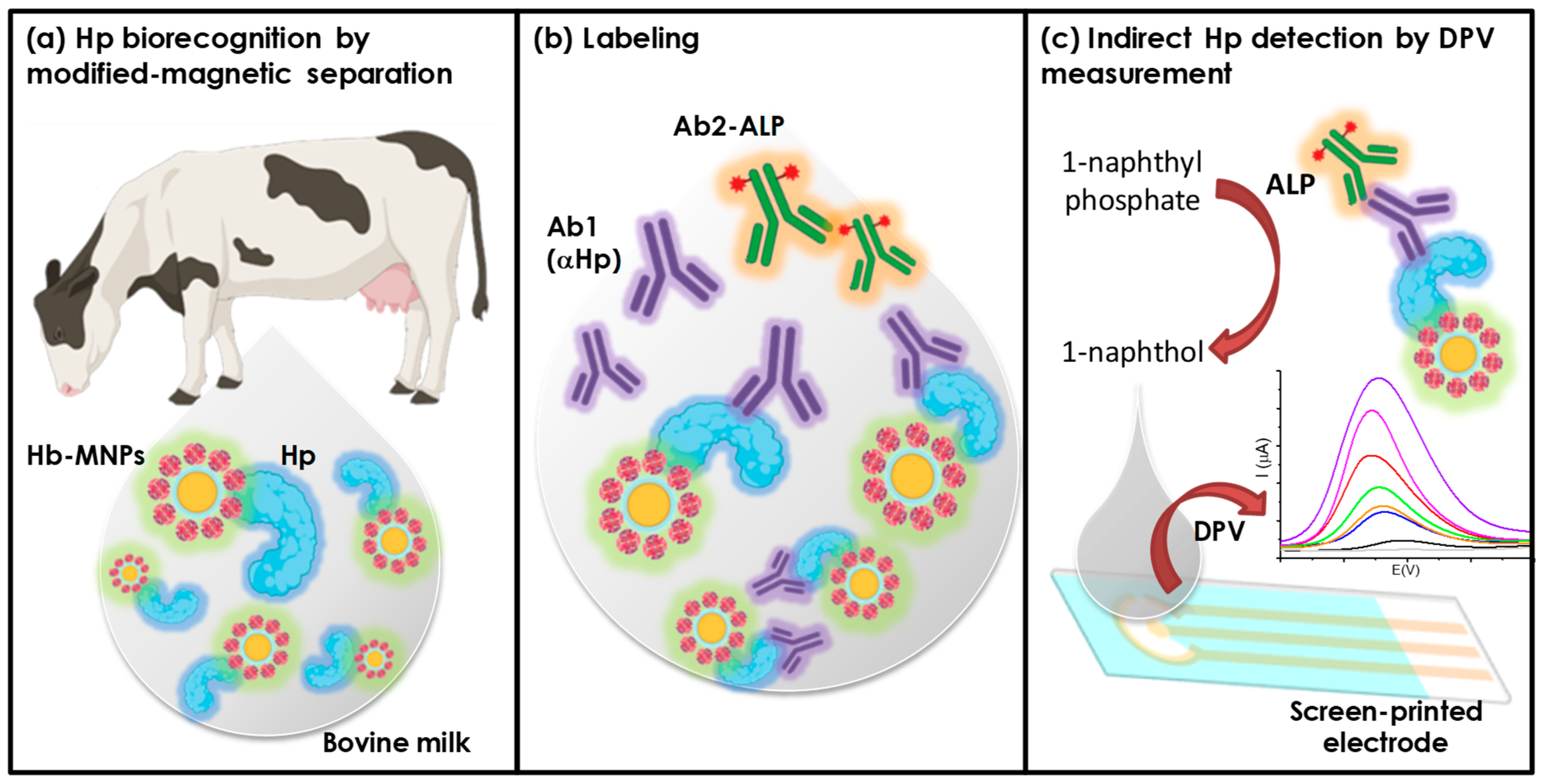 Chemosensors 11 00378 g001