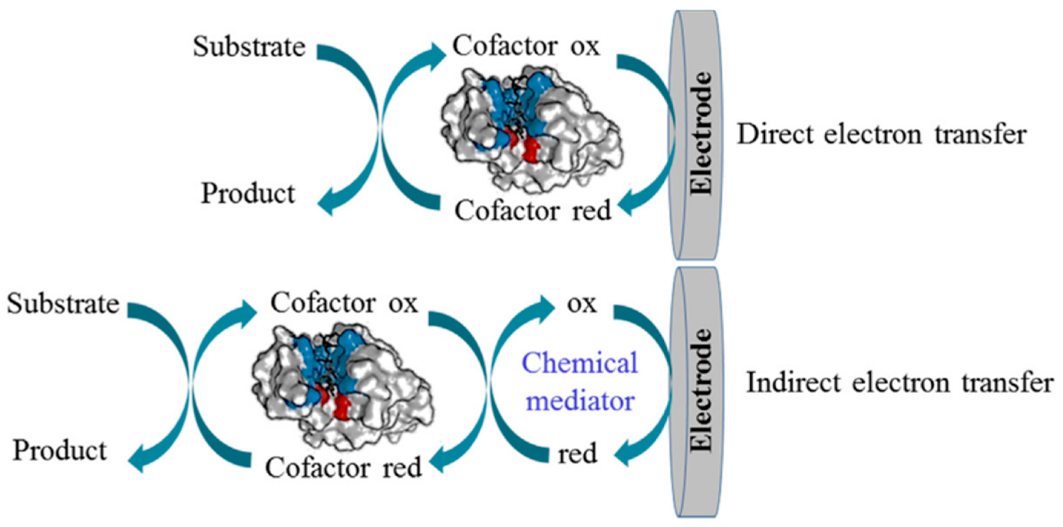 Chemosensors 11 00388 g002 Chemosensors 11 00388 g002