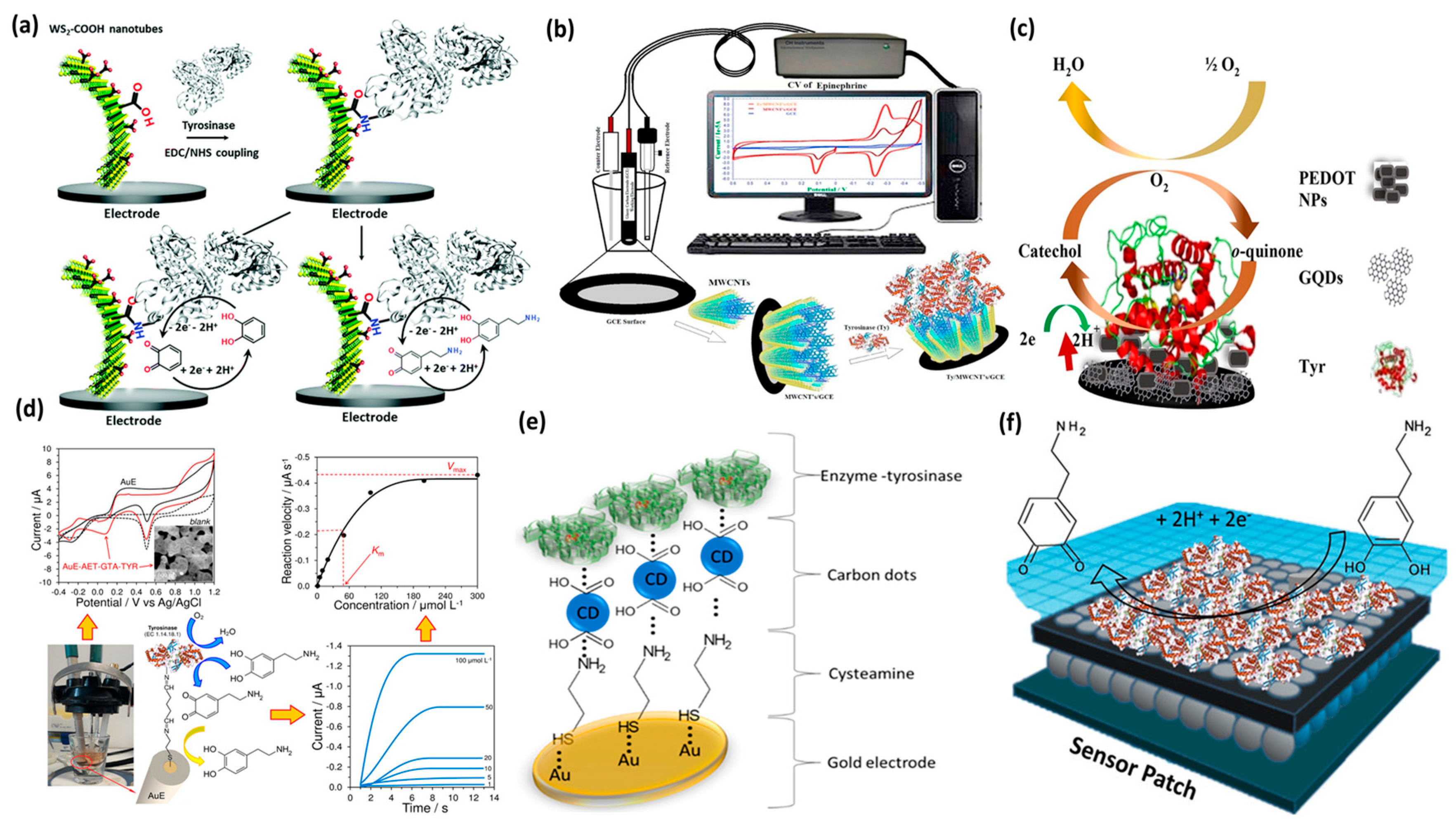 Chemosensors 11 00388 g003 Chemosensors 11 00388 g003