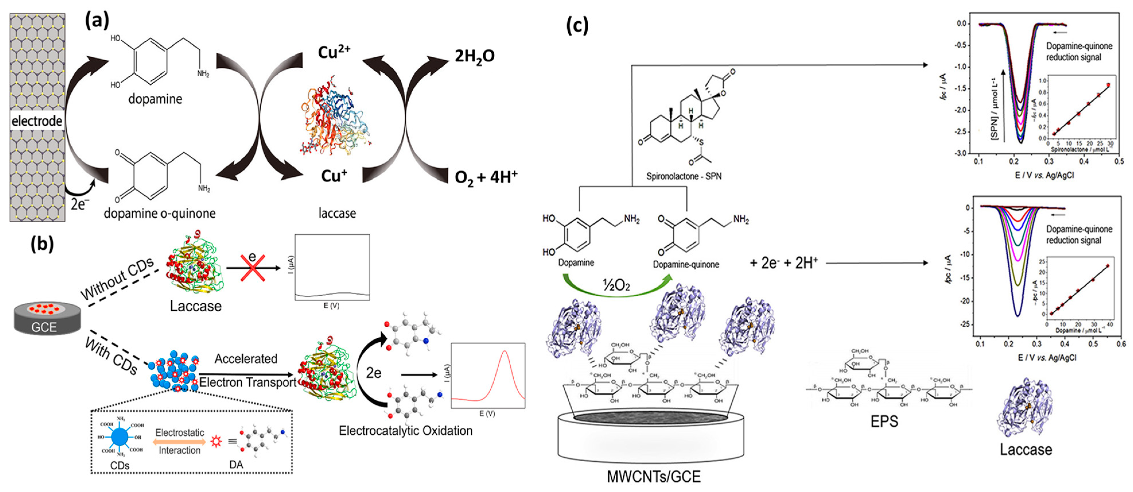 Chemosensors 11 00388 g004 Chemosensors 11 00388 g004