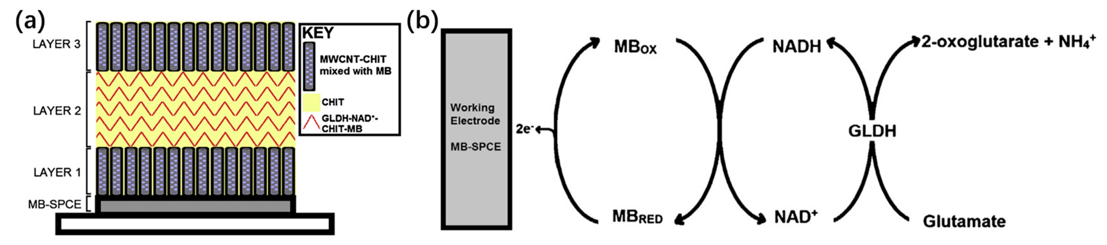 Chemosensors 11 00388 g007 Chemosensors 11 00388 g007