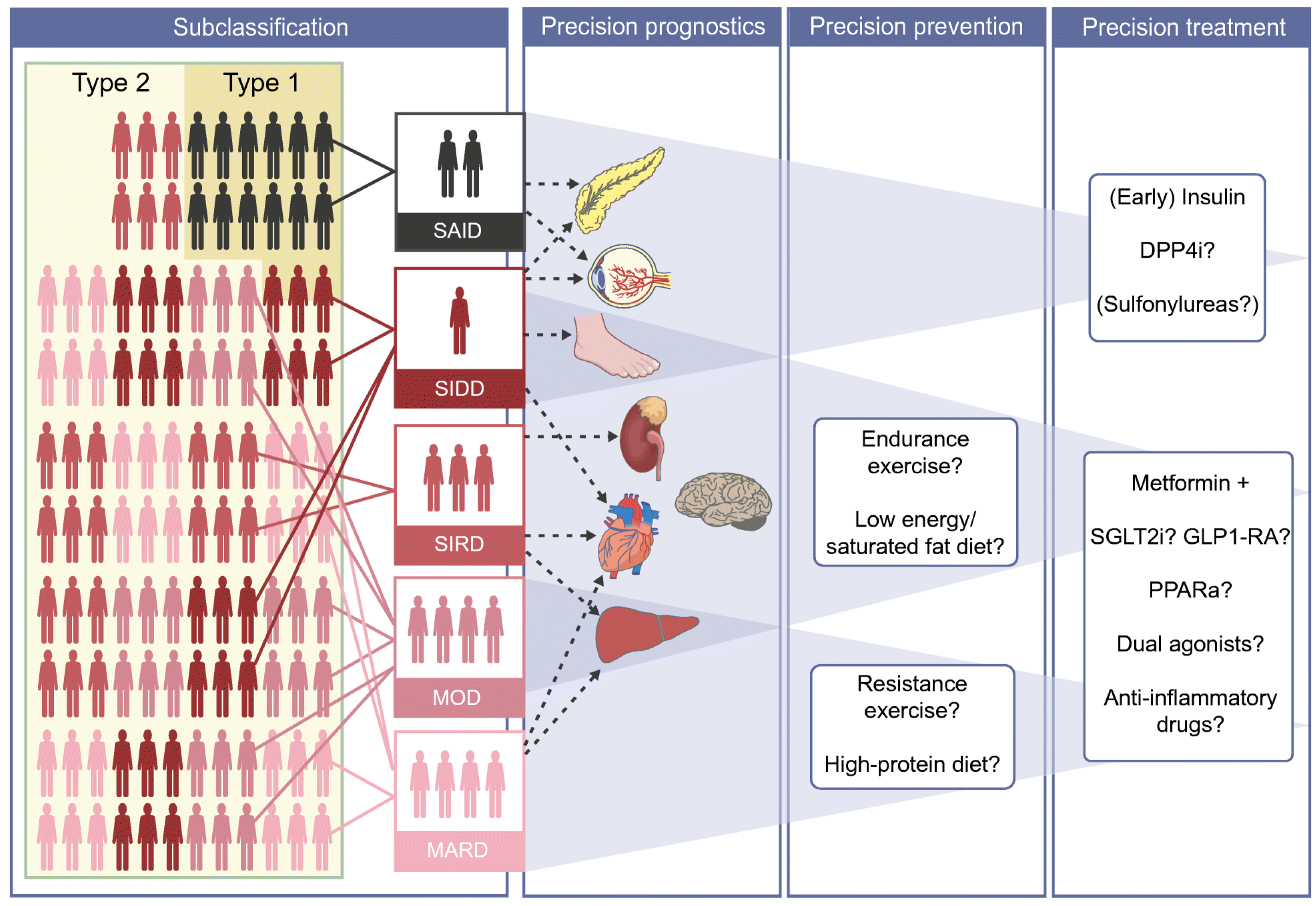 Chemosensors 11 00391 g002 Chemosensors 11 00391 g002
