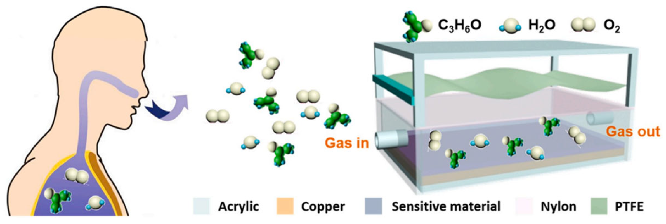 Chemosensors 11 00391 g005 Chemosensors 11 00391 g005
