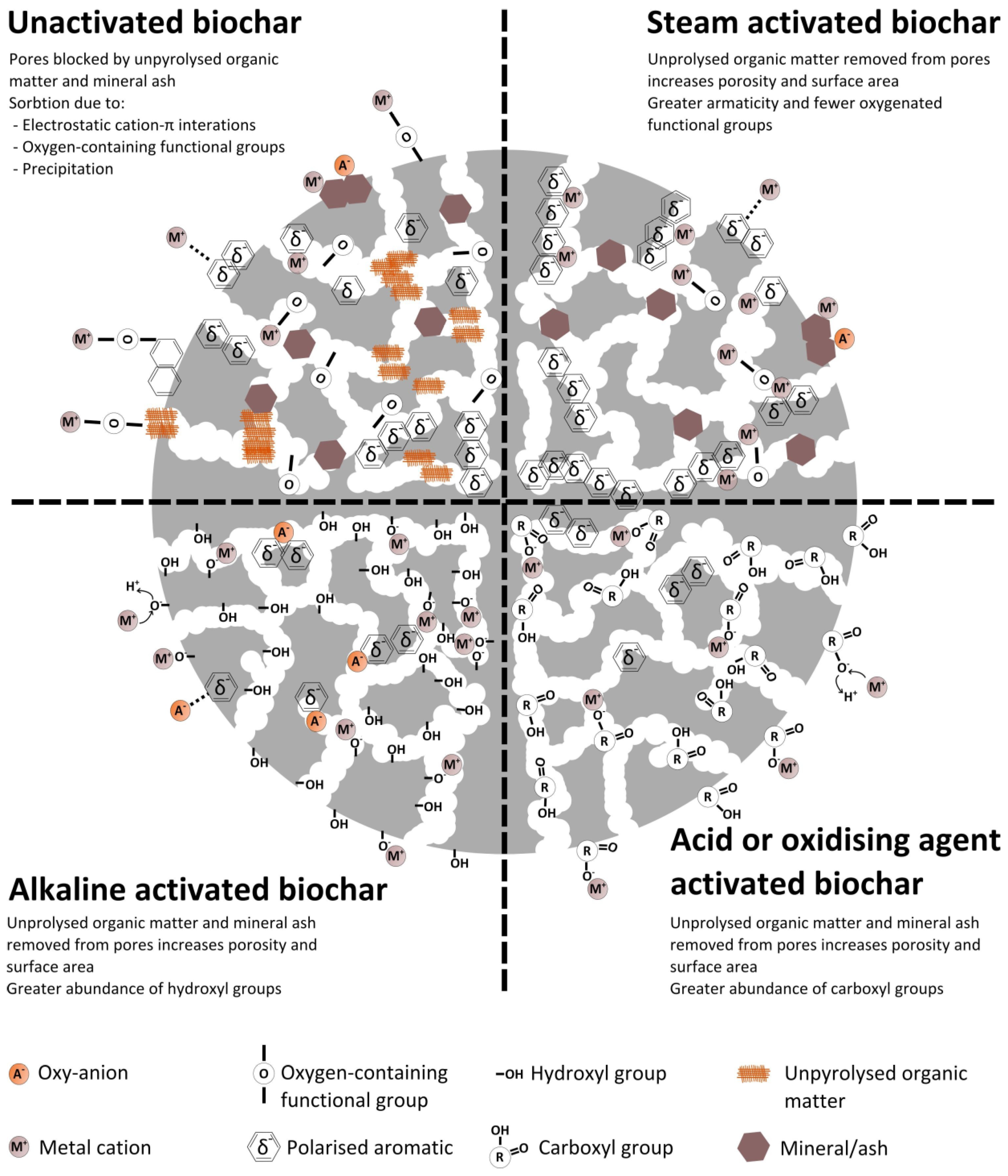 Chemosensors 11 00394 g001