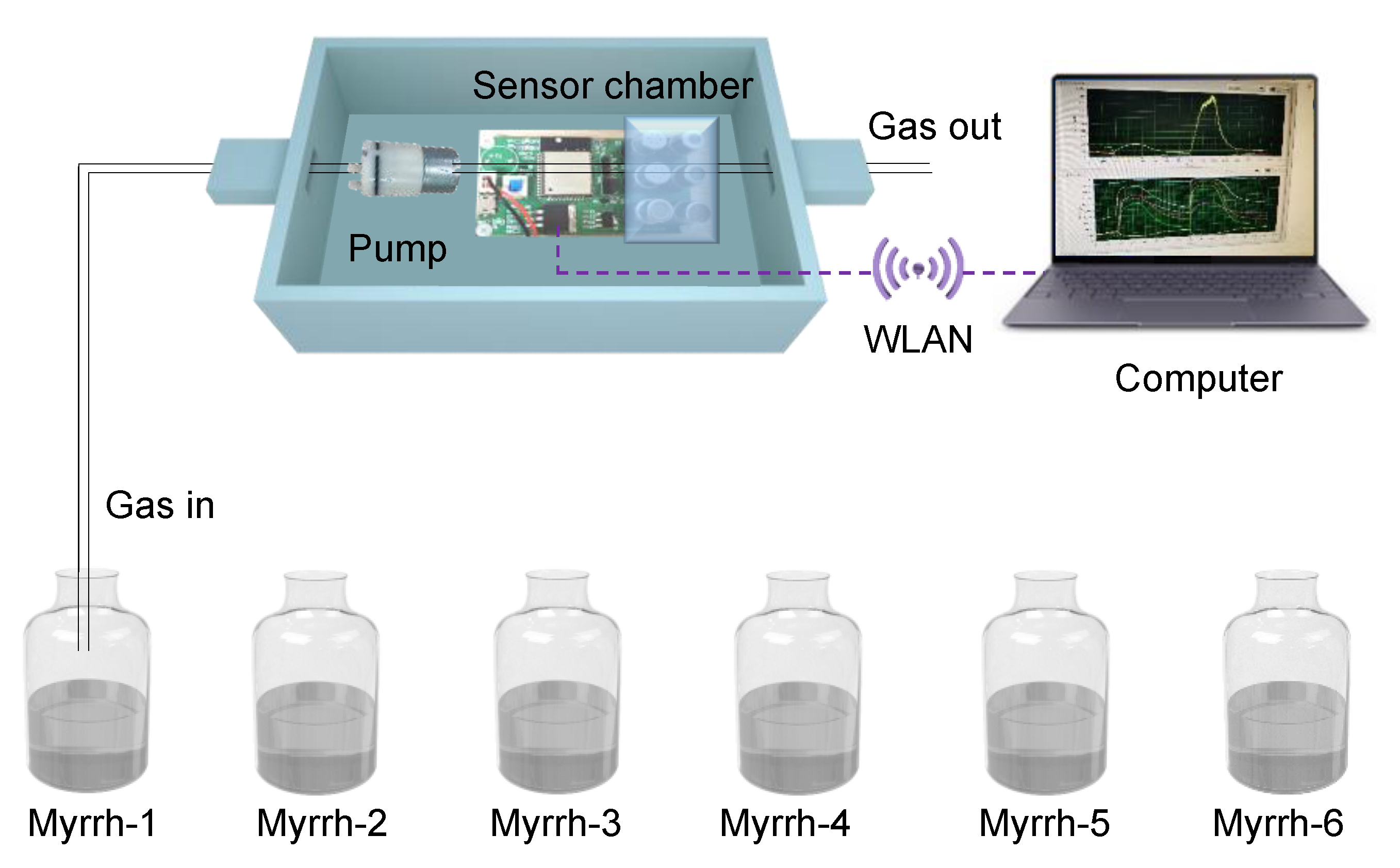 Chemosensors 11 00396 g002