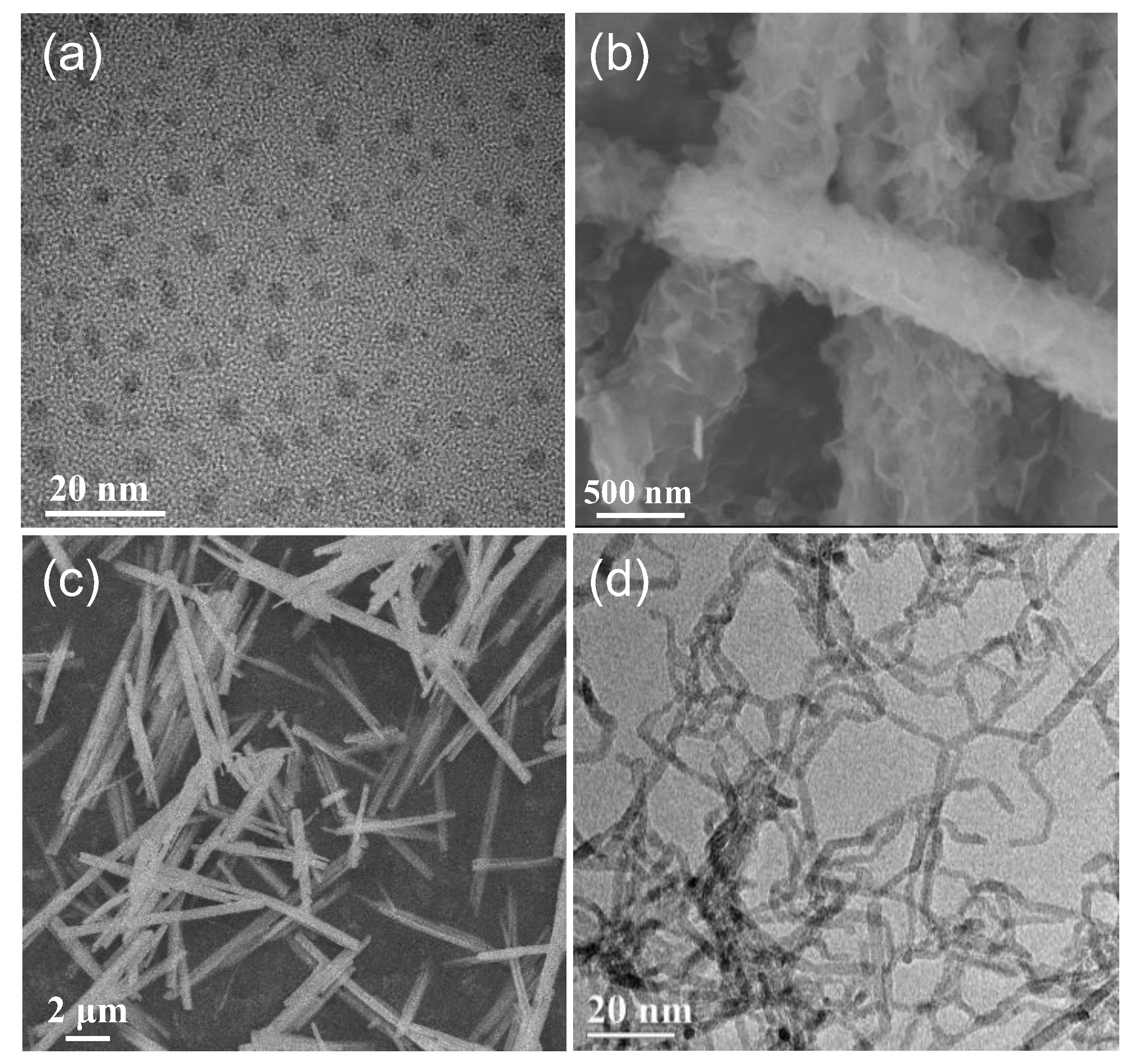 Chemosensors 11 00396 g005