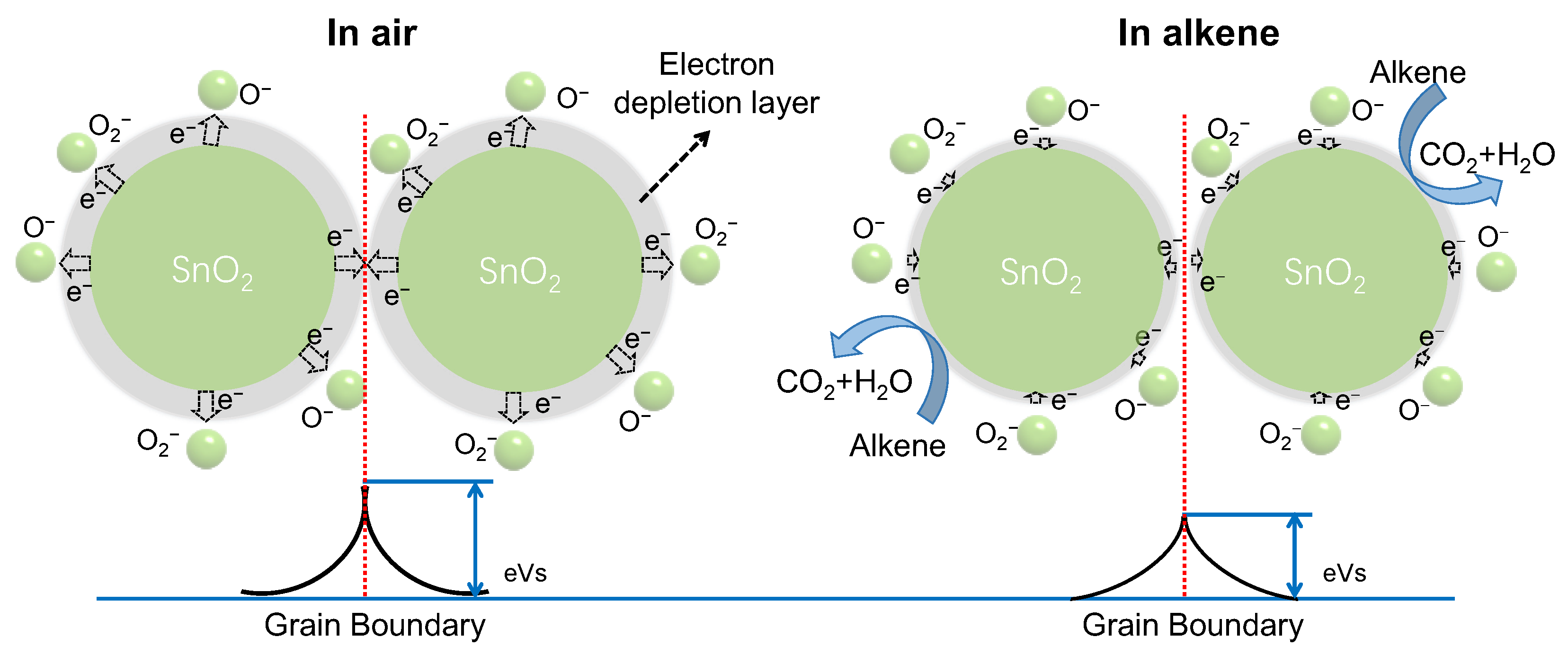 Chemosensors 11 00396 g007