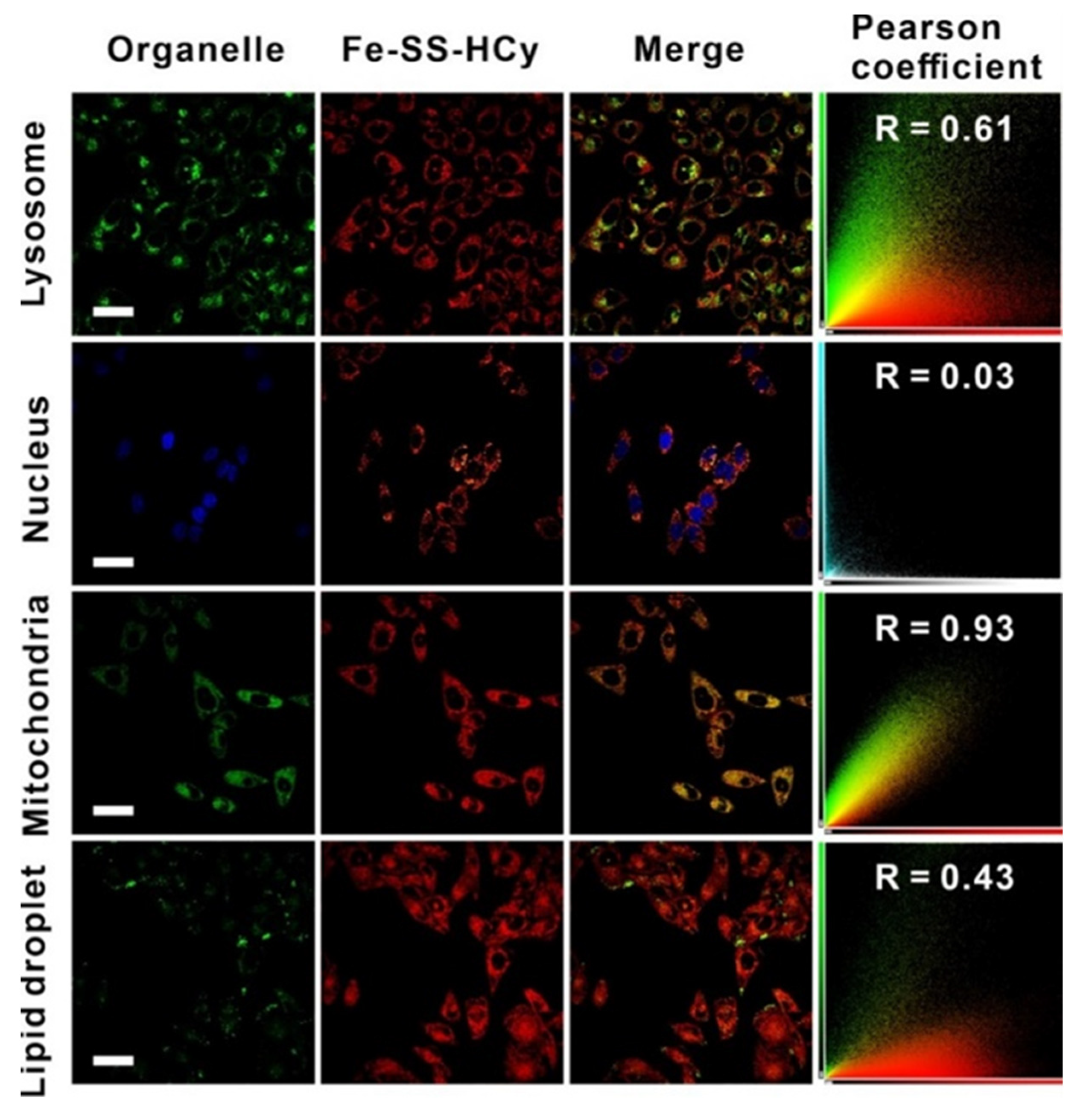 Chemosensors 11 00397 g005 Chemosensors 11 00397 g005