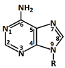 Chemosensors 11 00399 i001