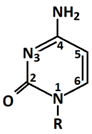 Chemosensors 11 00399 i003