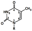 Chemosensors 11 00399 i004