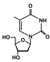 Chemosensors 11 00399 i008