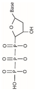 Chemosensors 11 00399 i009