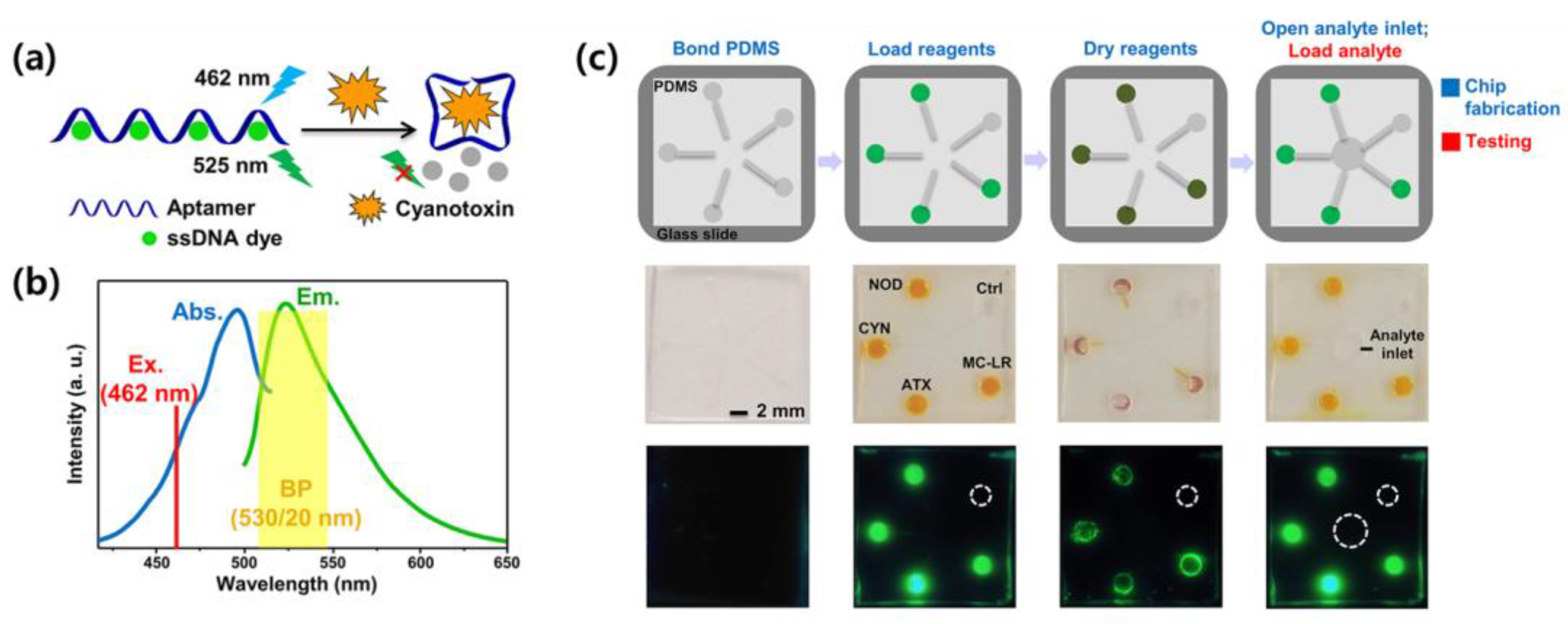 Chemosensors 11 00401 g002